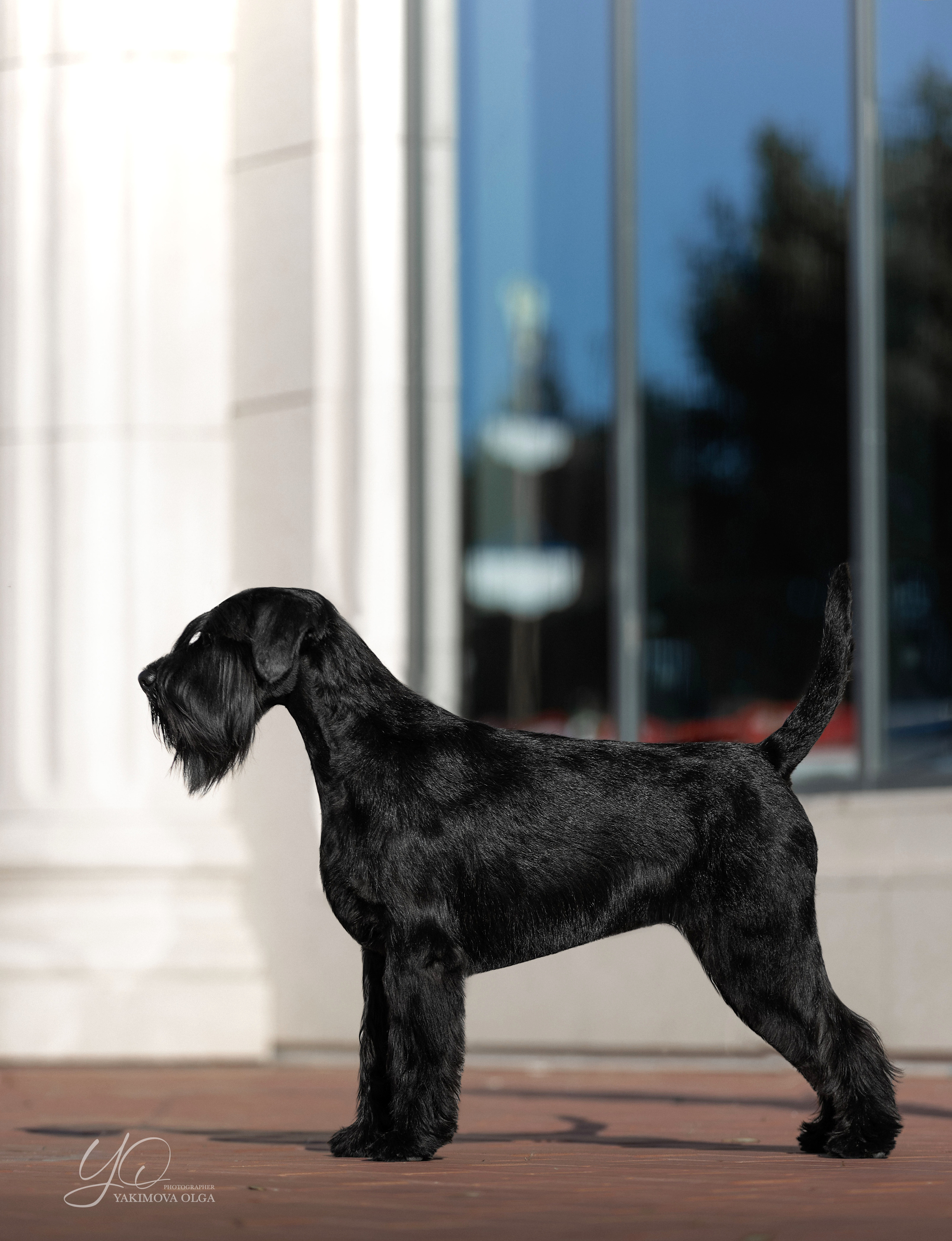 Экстерьер. Фотограф