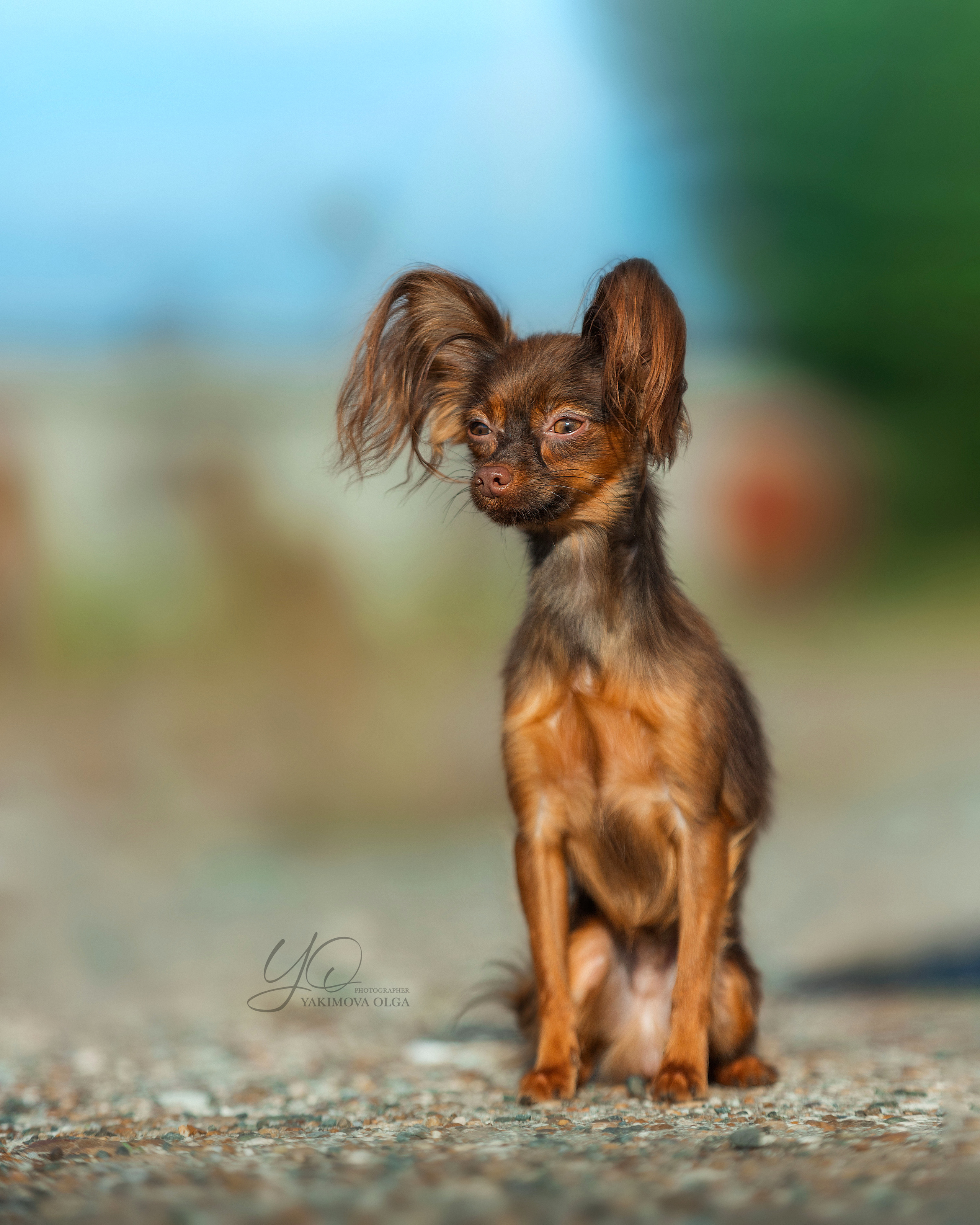 Экстерьер. Фотограф