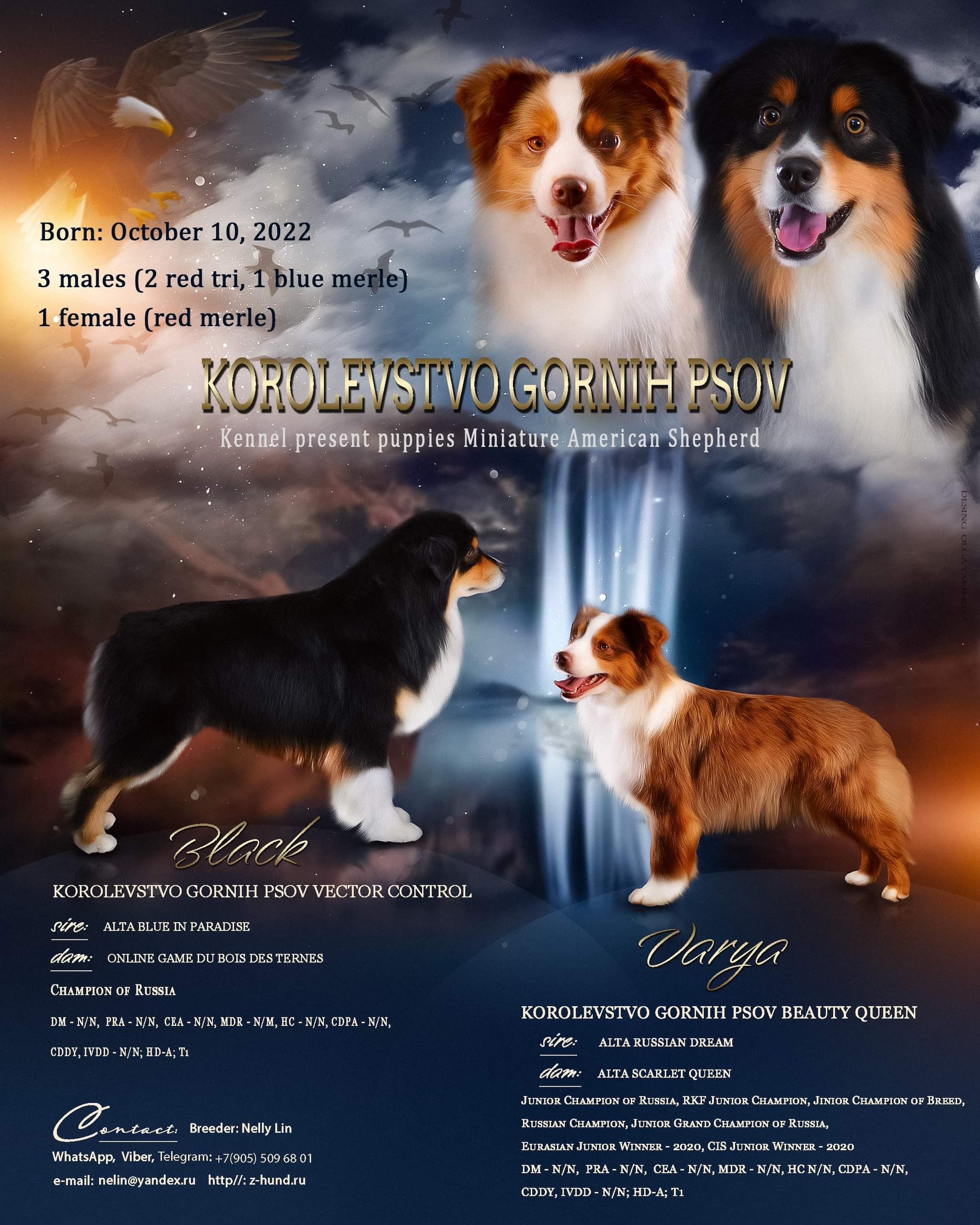 Animal presentation. Фотограф