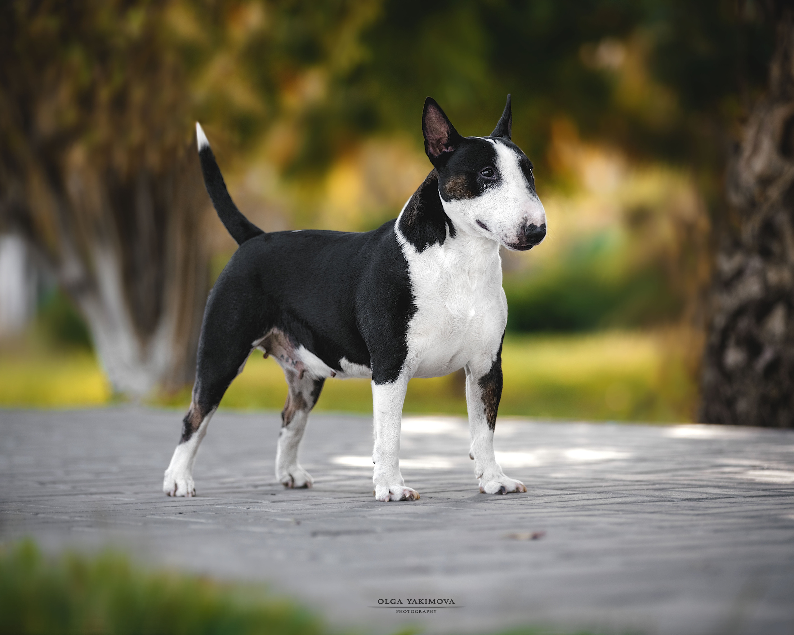 Экстерьер. Фотограф