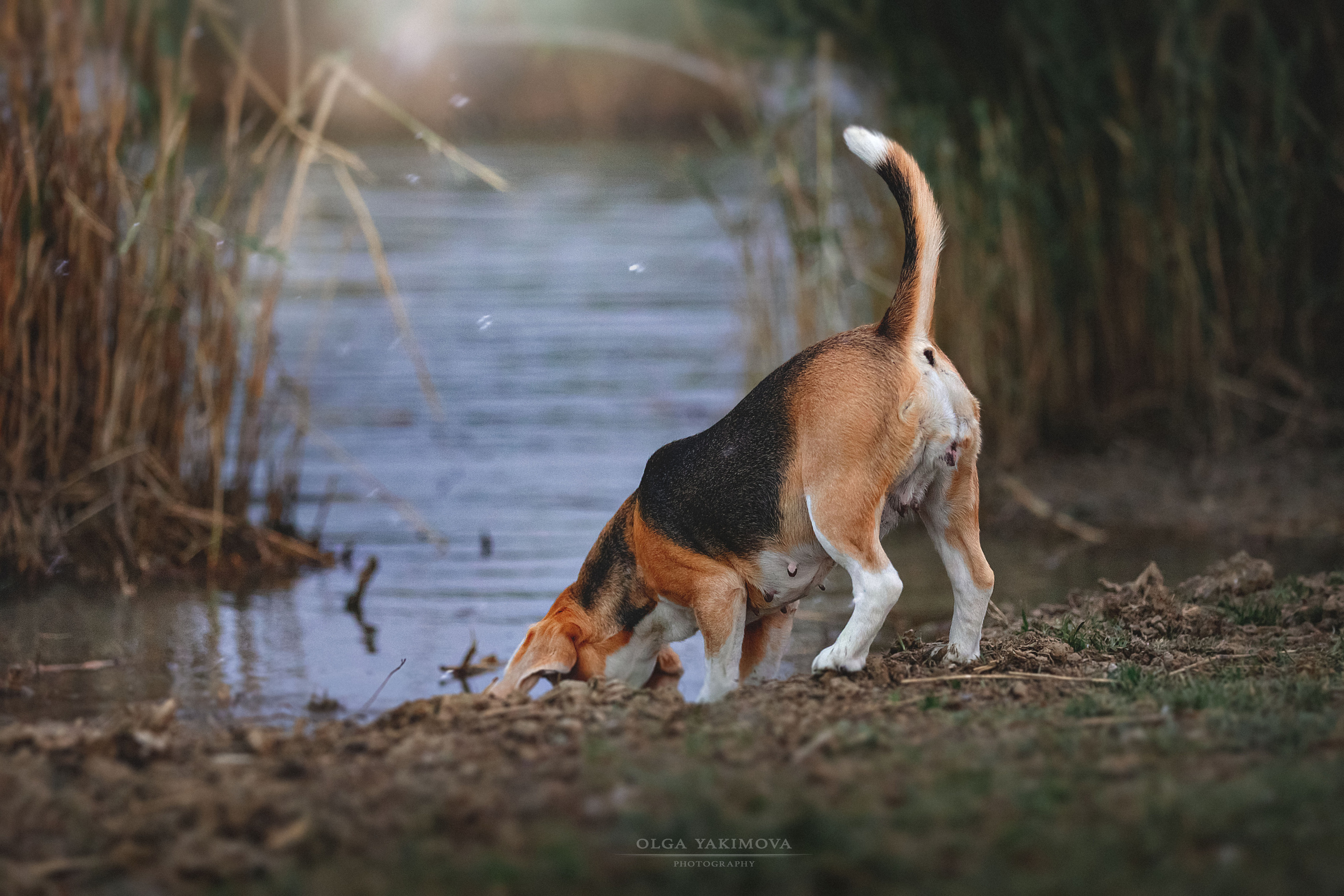 Анна, Варвара и Науми. Фотограф