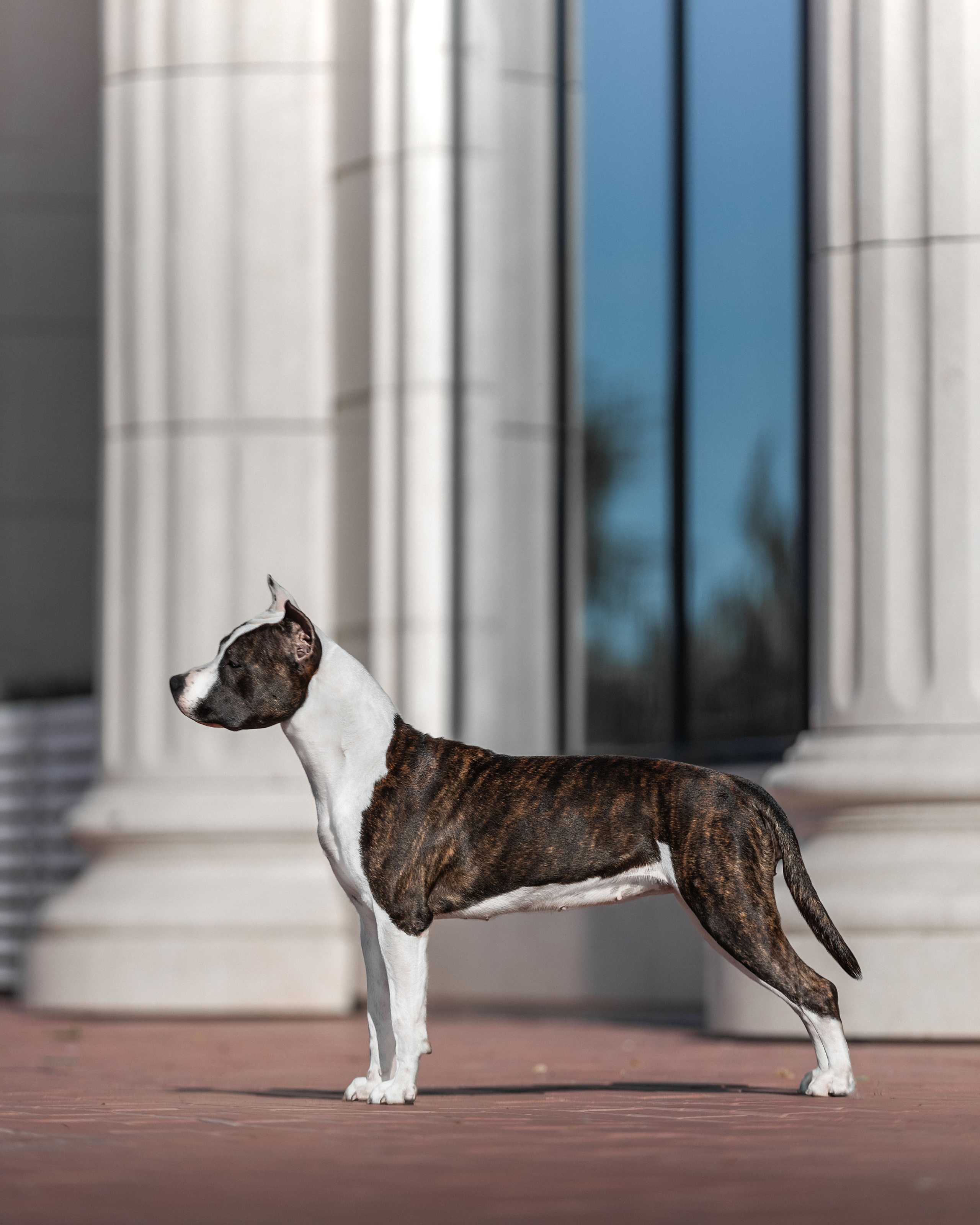 Экстерьер. Фотограф