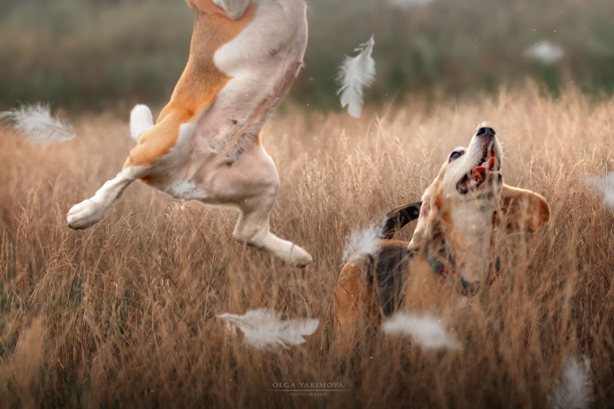 Анна, Варвара и Науми. Фотограф