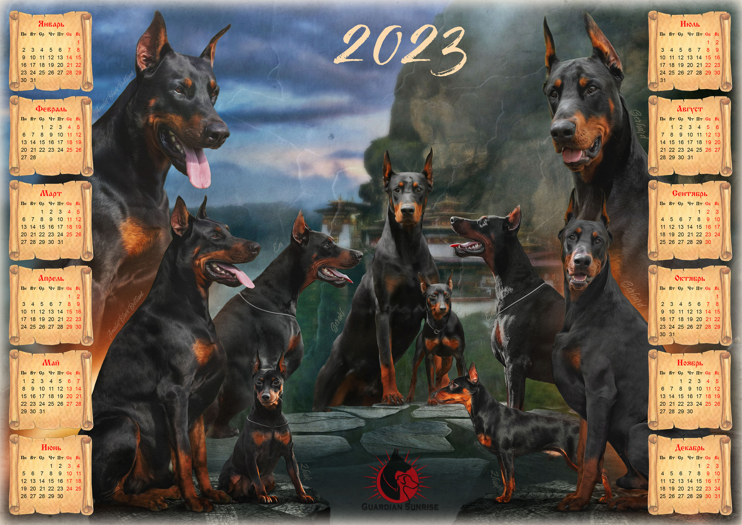 Animal presentation. Фотограф