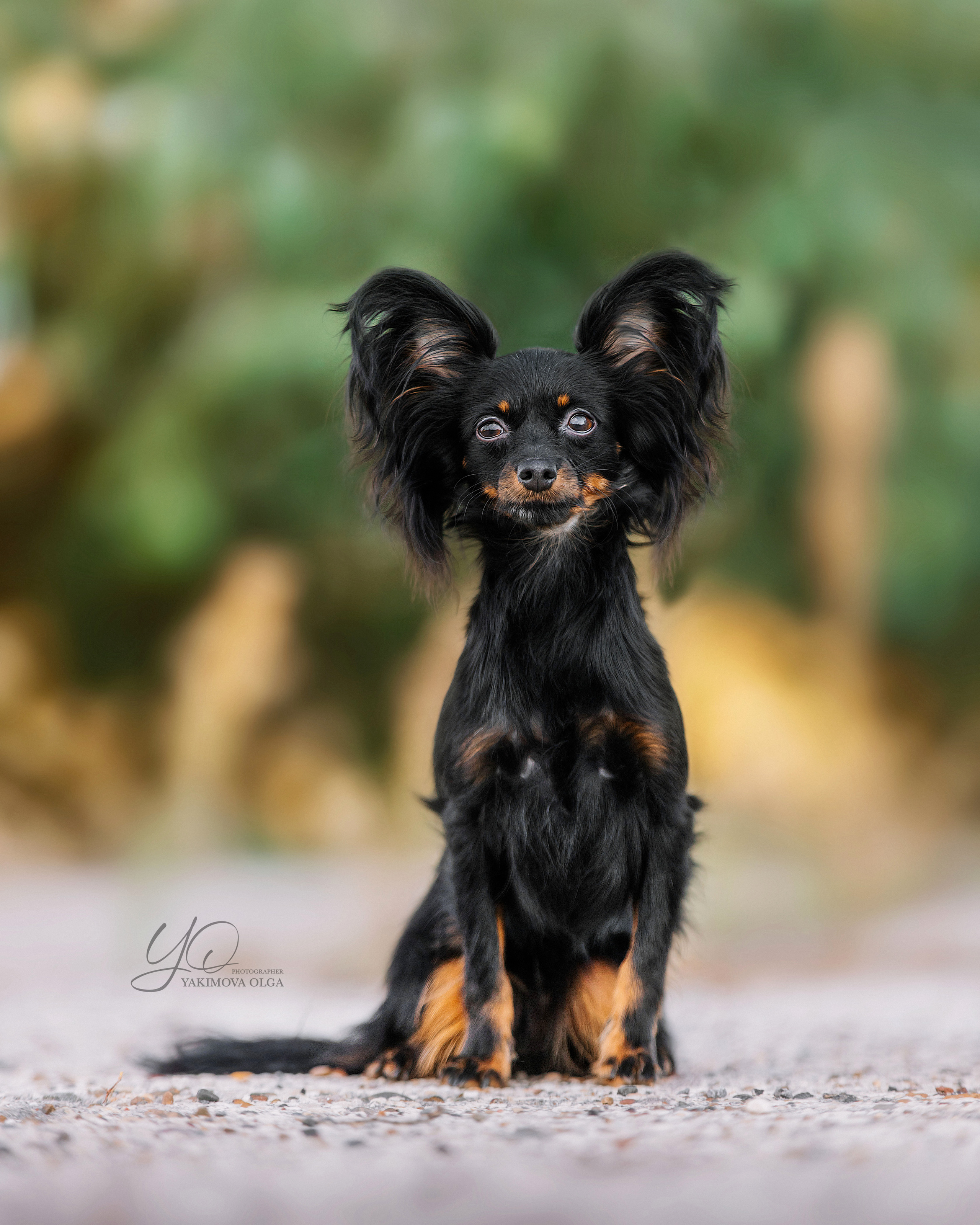 Экстерьер. Фотограф