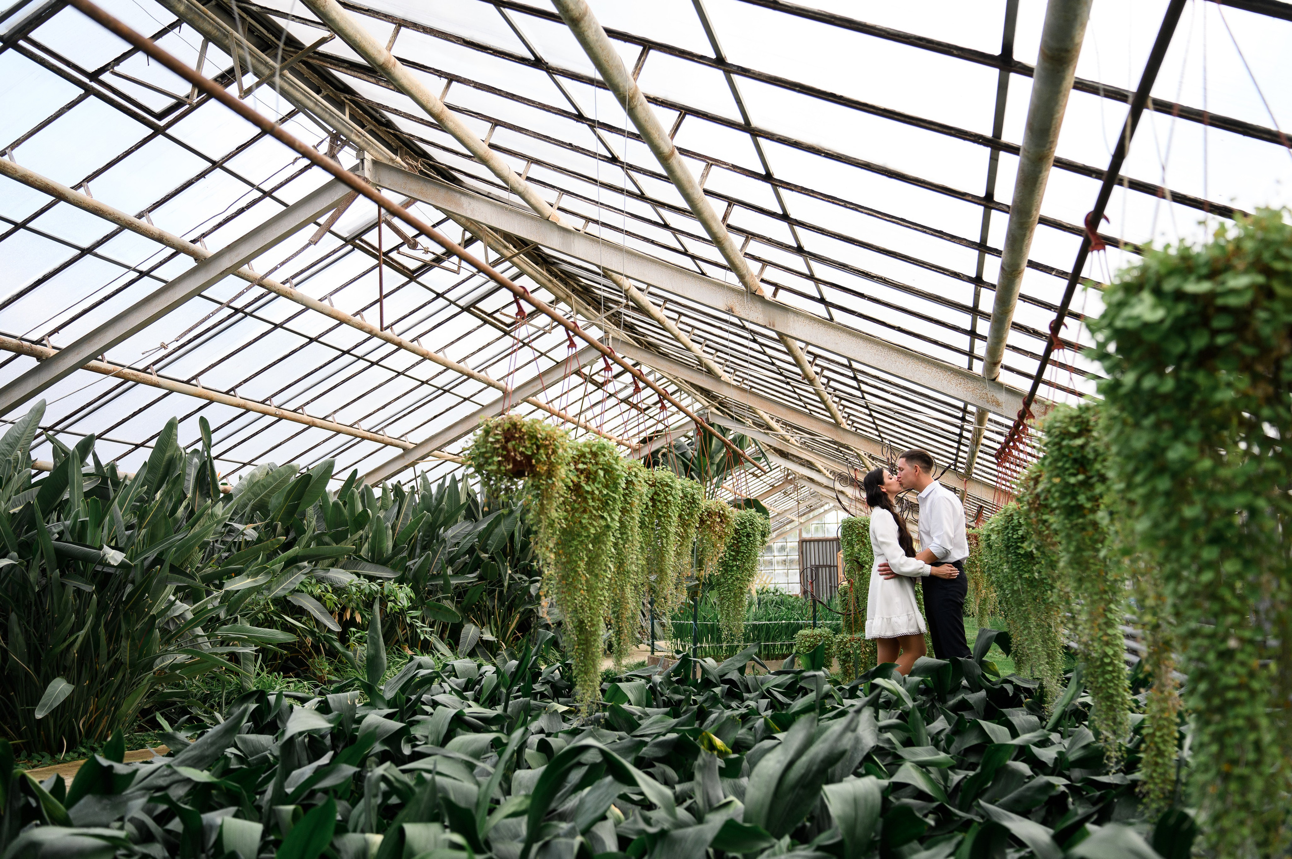 Фотосессия в Оранжерее. Свадебный и travel фотограф в Волгограде, Сочи, Домбае, Европе