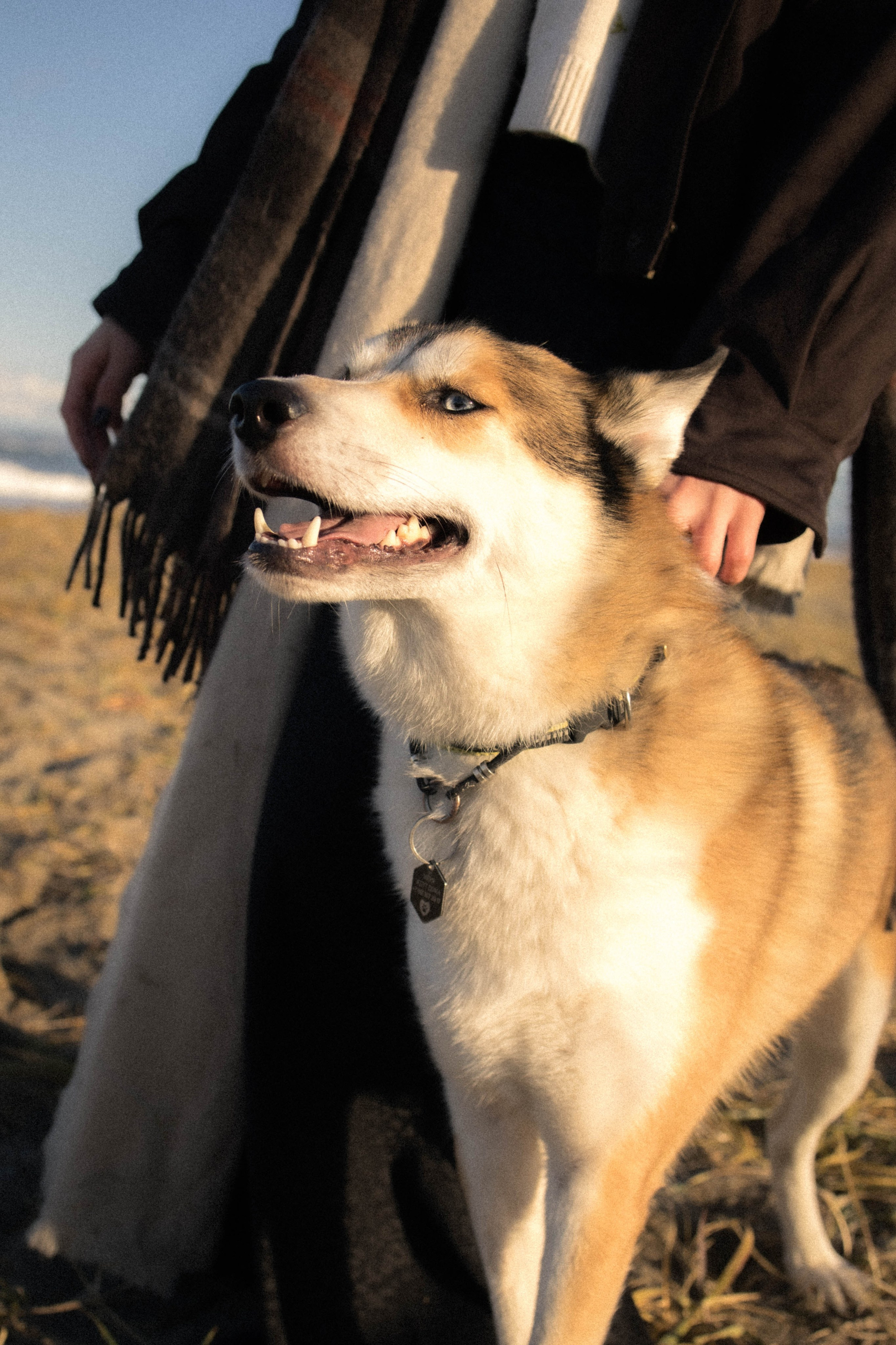 Анастасия и Читос. Фотограф Виктория Куприянова