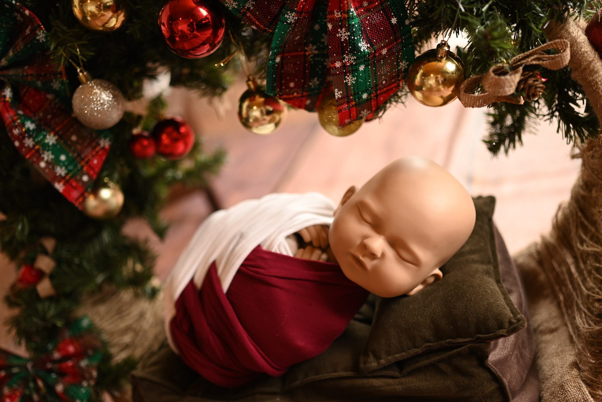 Образы 2024-2025. Newborn42.ru Фотограф новорожденных  г. Кемерово Агафонова Жанна