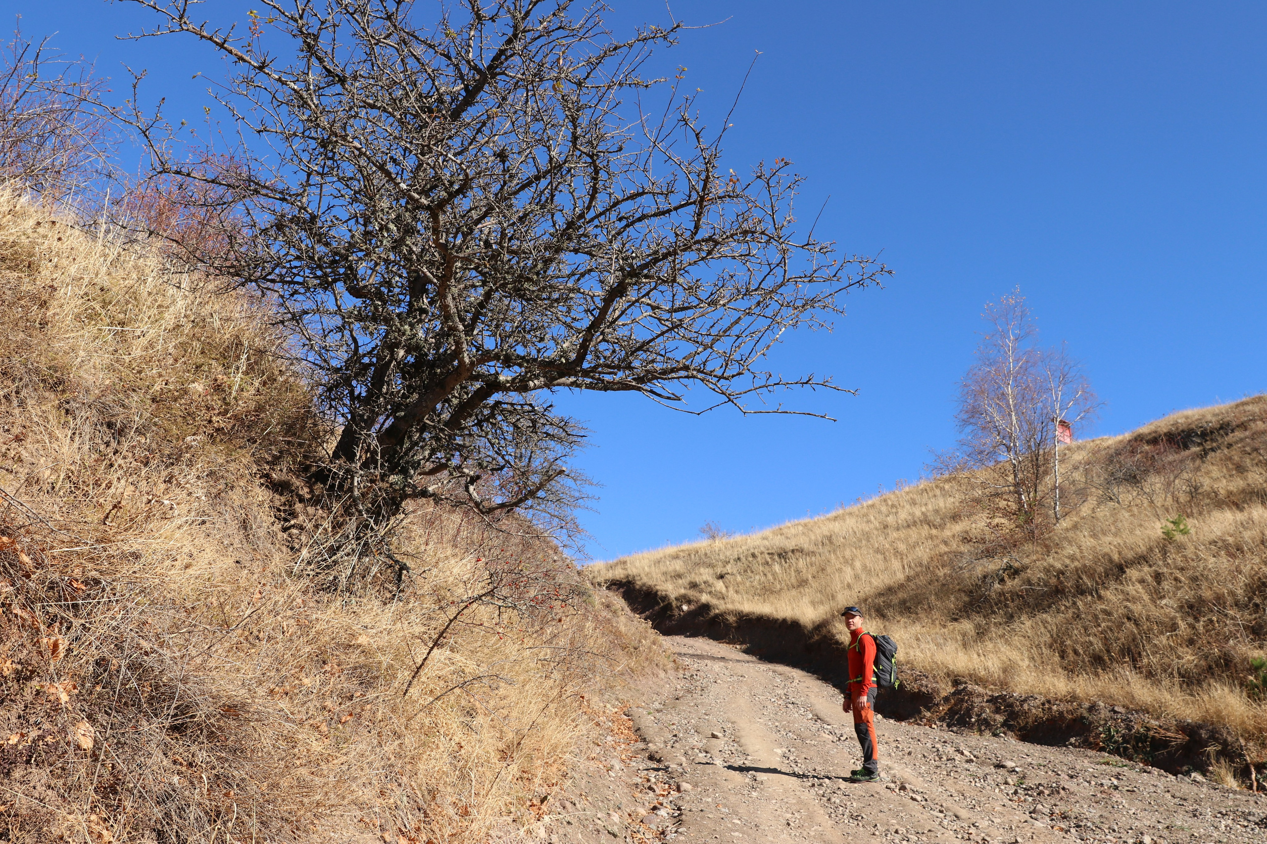 Крым. ЮБК (Гурзуф, Судак и их окрестности). Ноябрь 2023. Путешественник-фотограф из Санкт-Петербурга Татьяна Свистулина