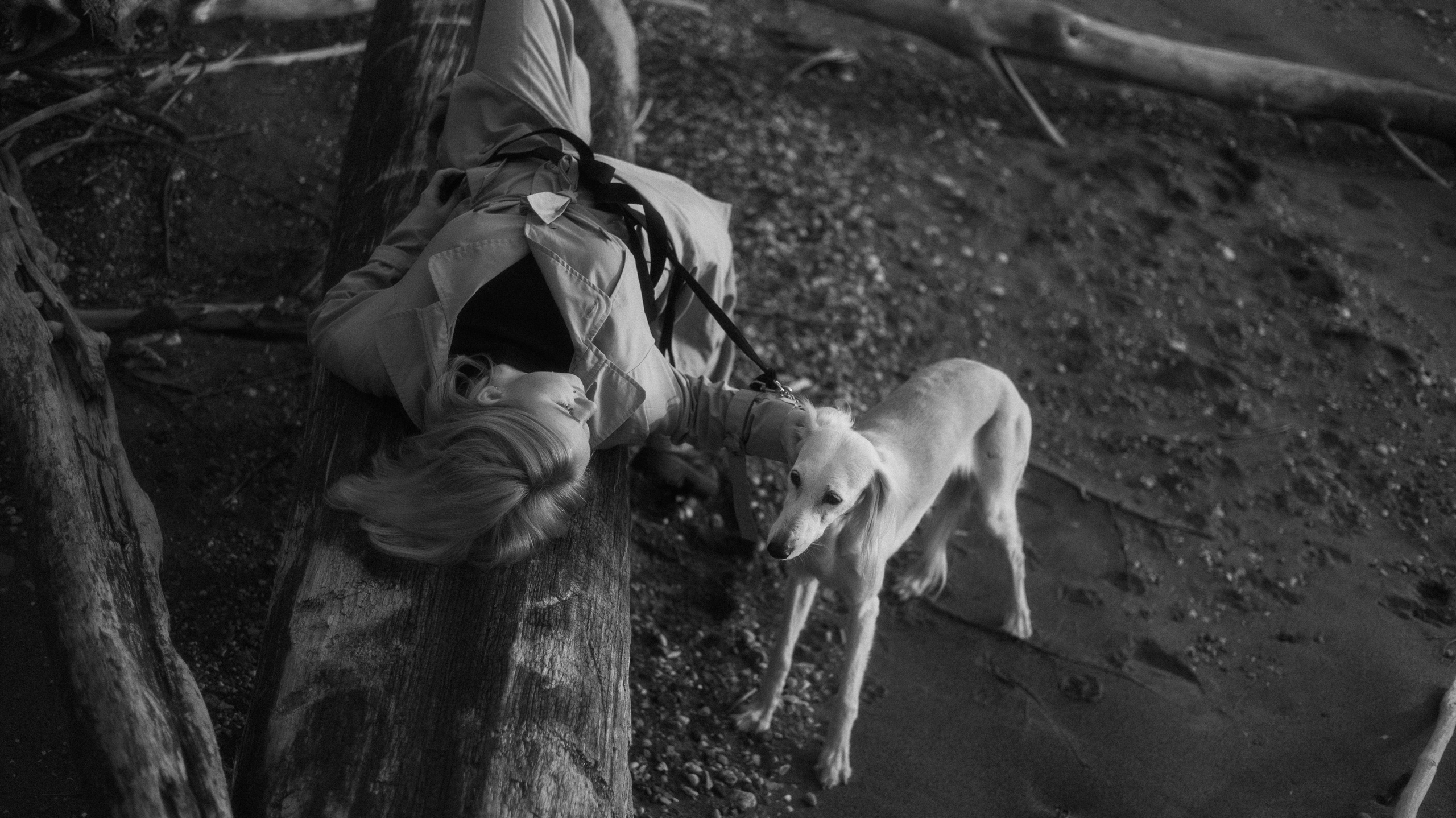 Настя и Бейда. Фотограф-анималист Богданова Полина