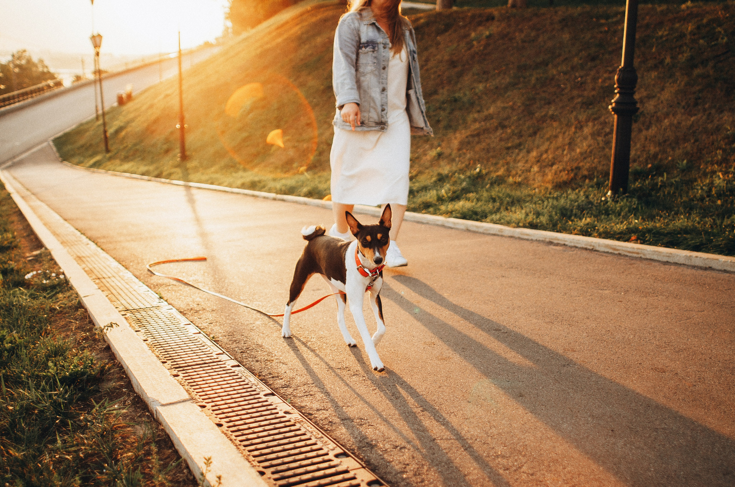 Лена, Никита и Эсма. Фотограф-анималист Богданова Полина