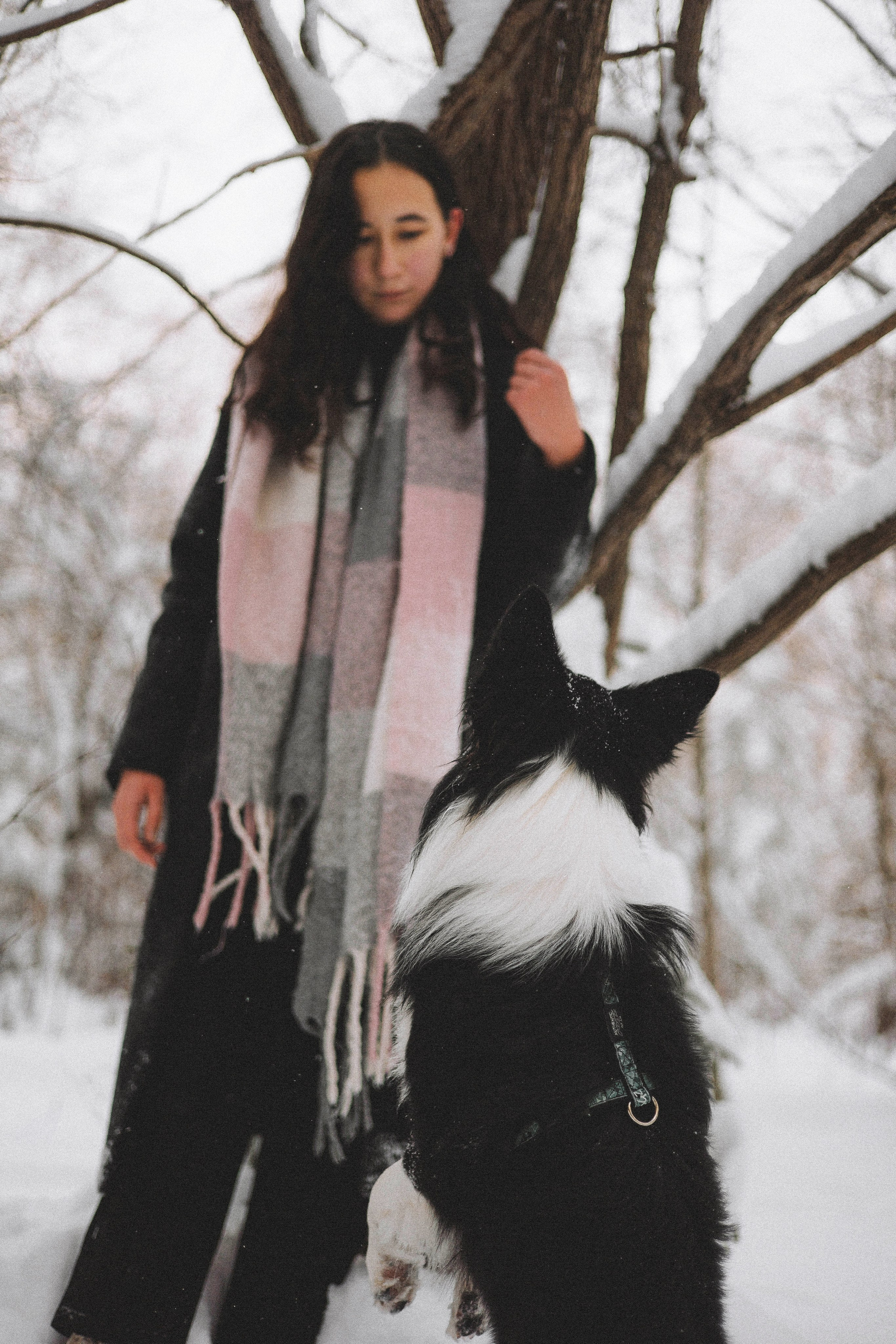Алина и Найт. Фотограф-анималист Богданова Полина