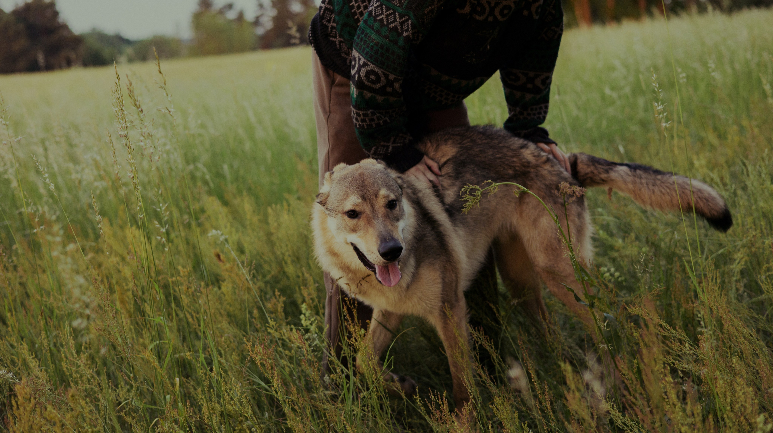 Маша и Дэрил. Фотограф-анималист Богданова Полина