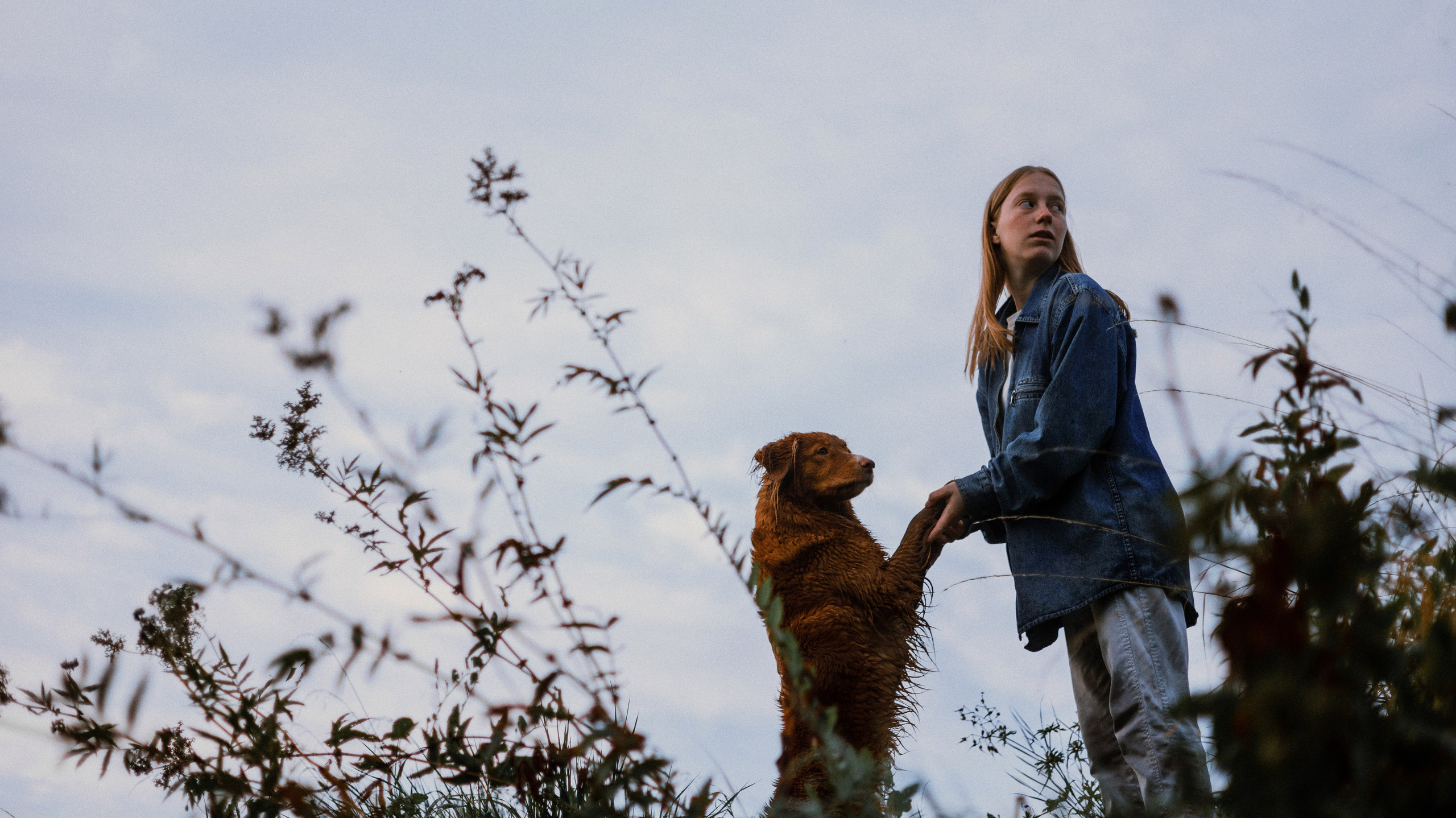 Ксюша и Мэди. Фотограф-анималист Богданова Полина