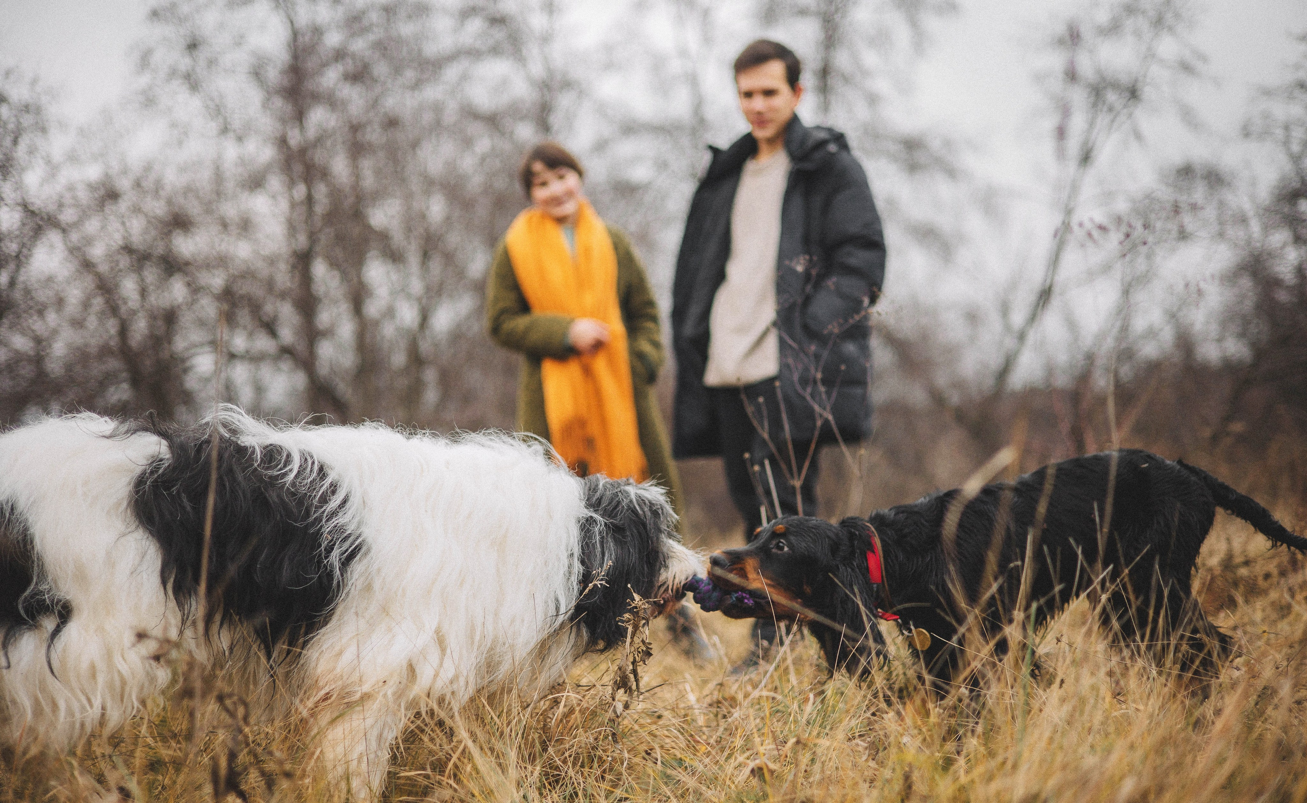 Даша, Глеб, Барс и Бруно. Фотограф-анималист Богданова Полина