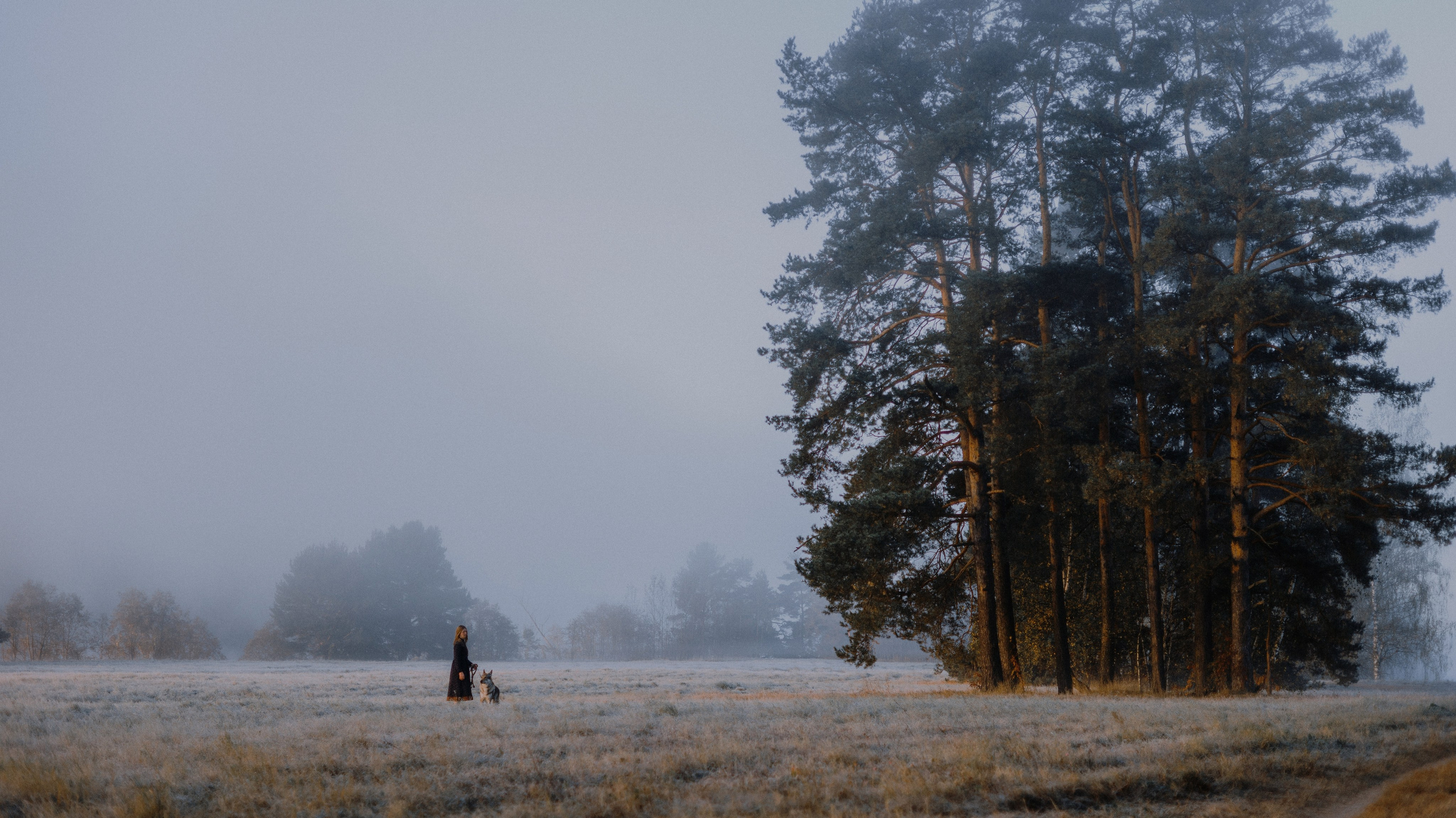 Полина и Вегард. Фотограф-анималист Богданова Полина