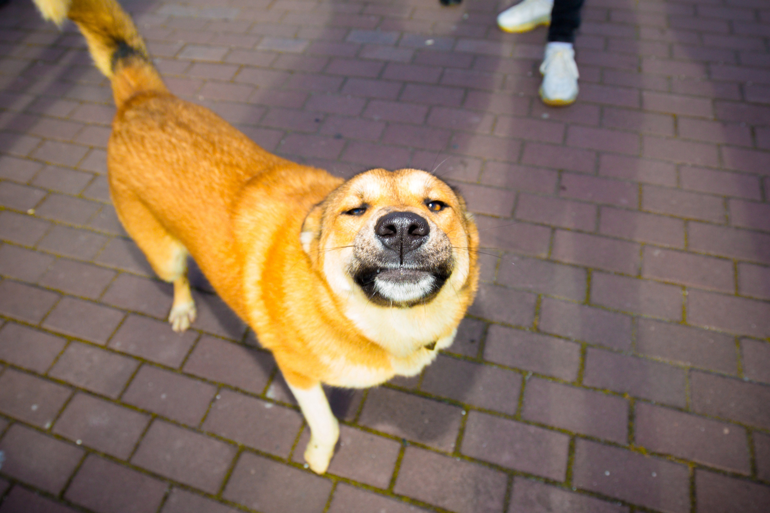 Улица. Фотограф в Мурманске Андрей Полярик, фотоальбомы