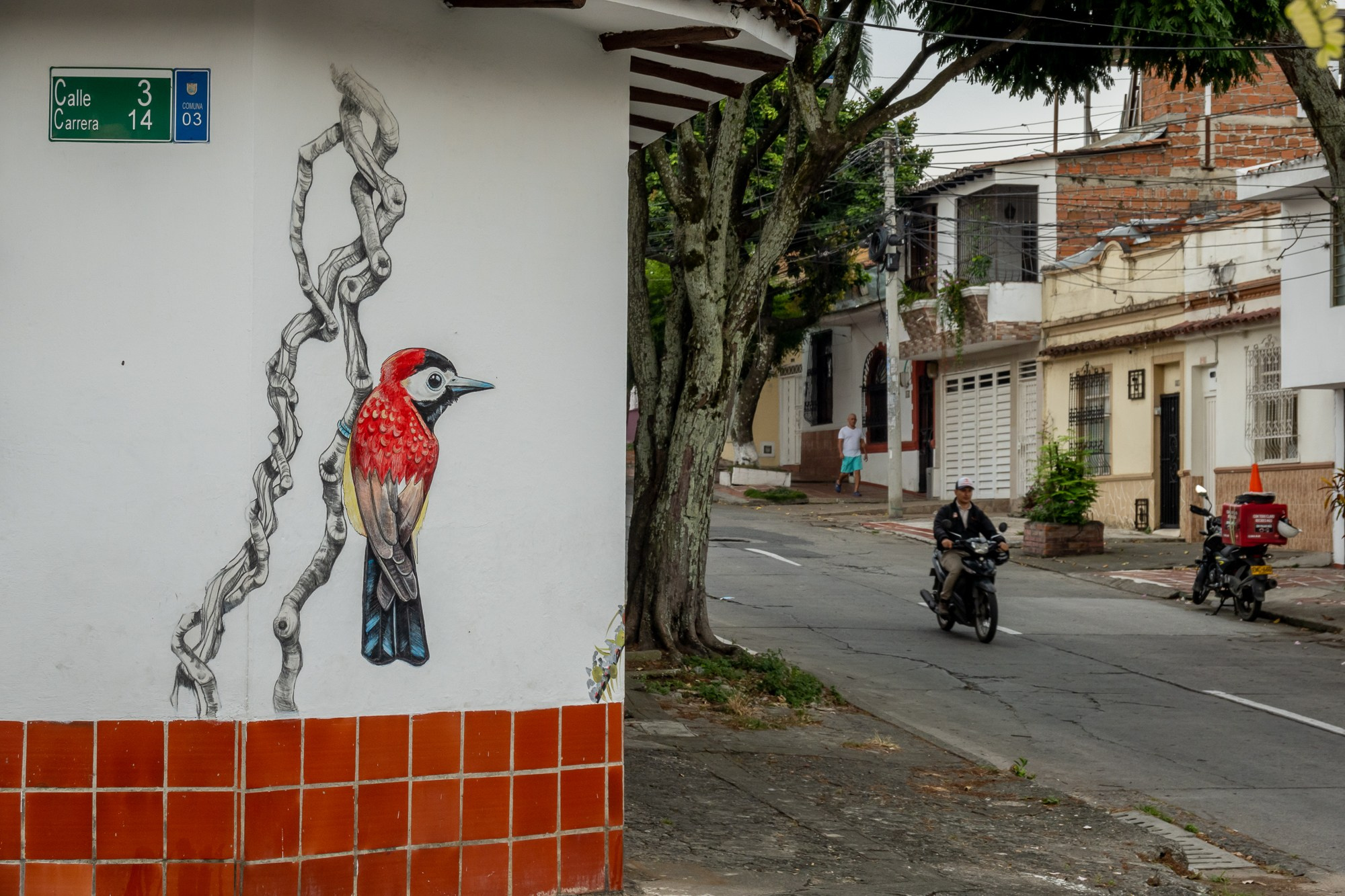 Фотограф Алексей Скоробогатько. Колумбия, г. Кали. Photographer Alexey Skorobogatko. Cali, Colombia. Фотограф Алексей Скоробогатько
