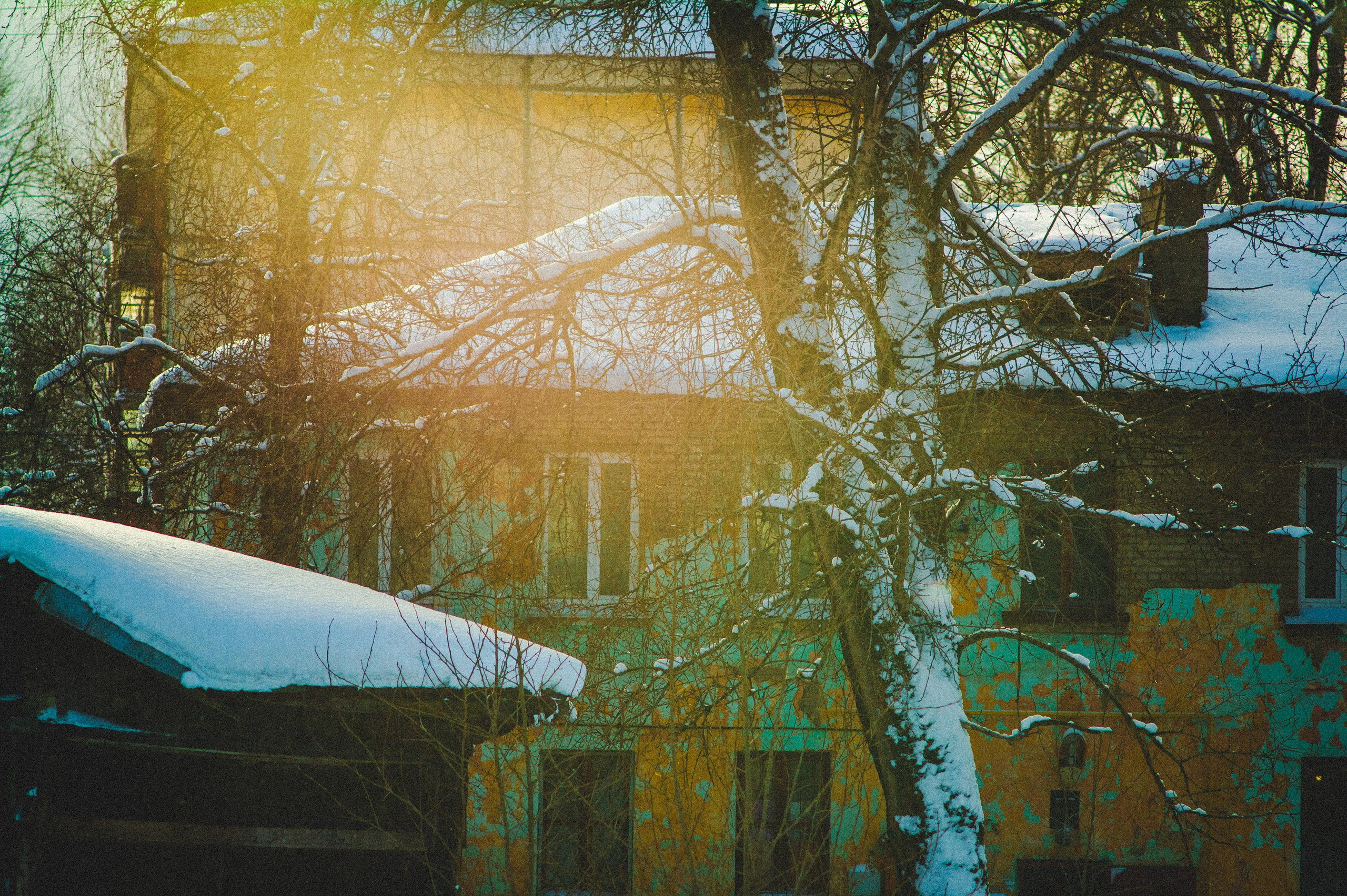 Обед. Den Mirov — Фотограф, Музыкант