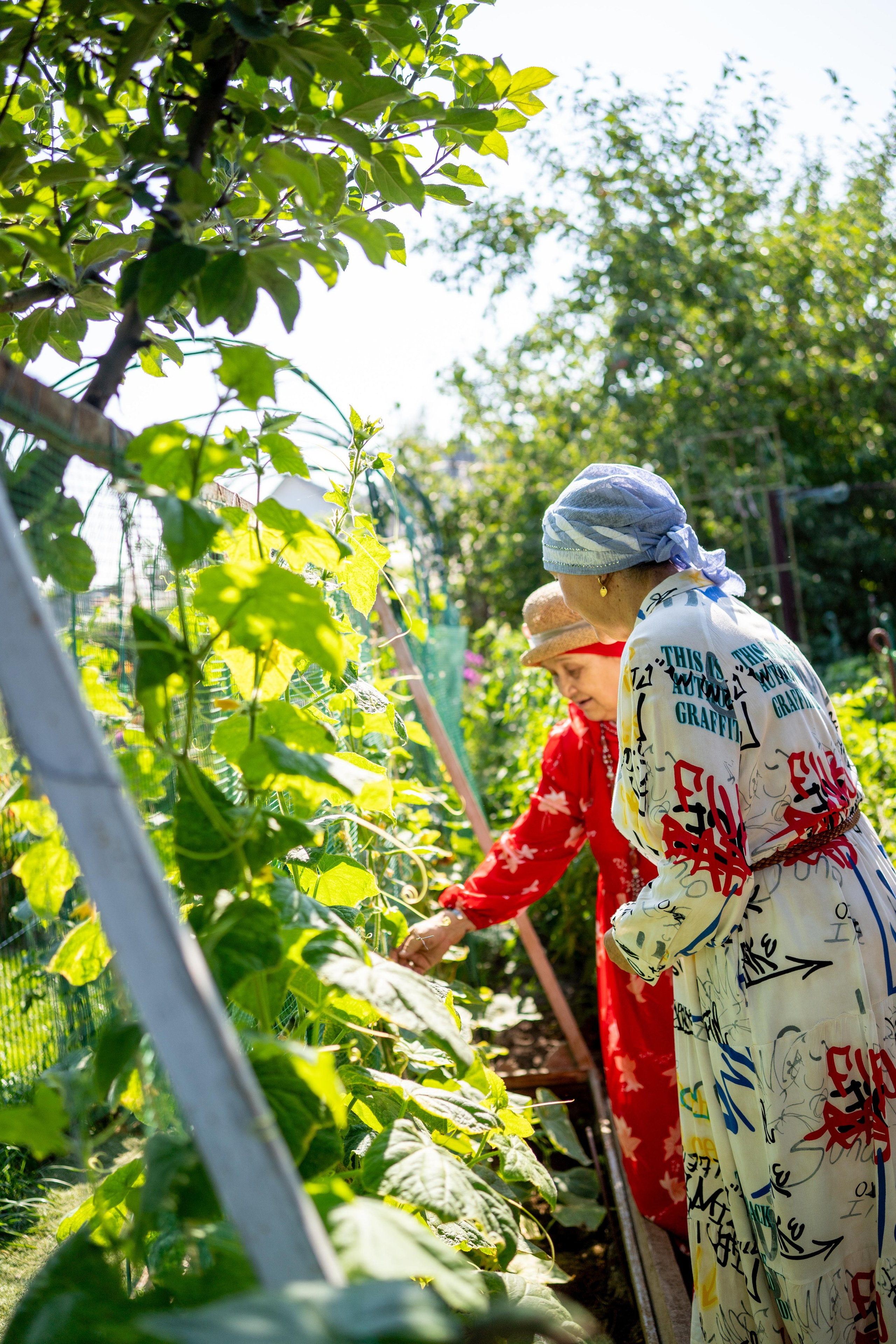 Два раза в день. Румия