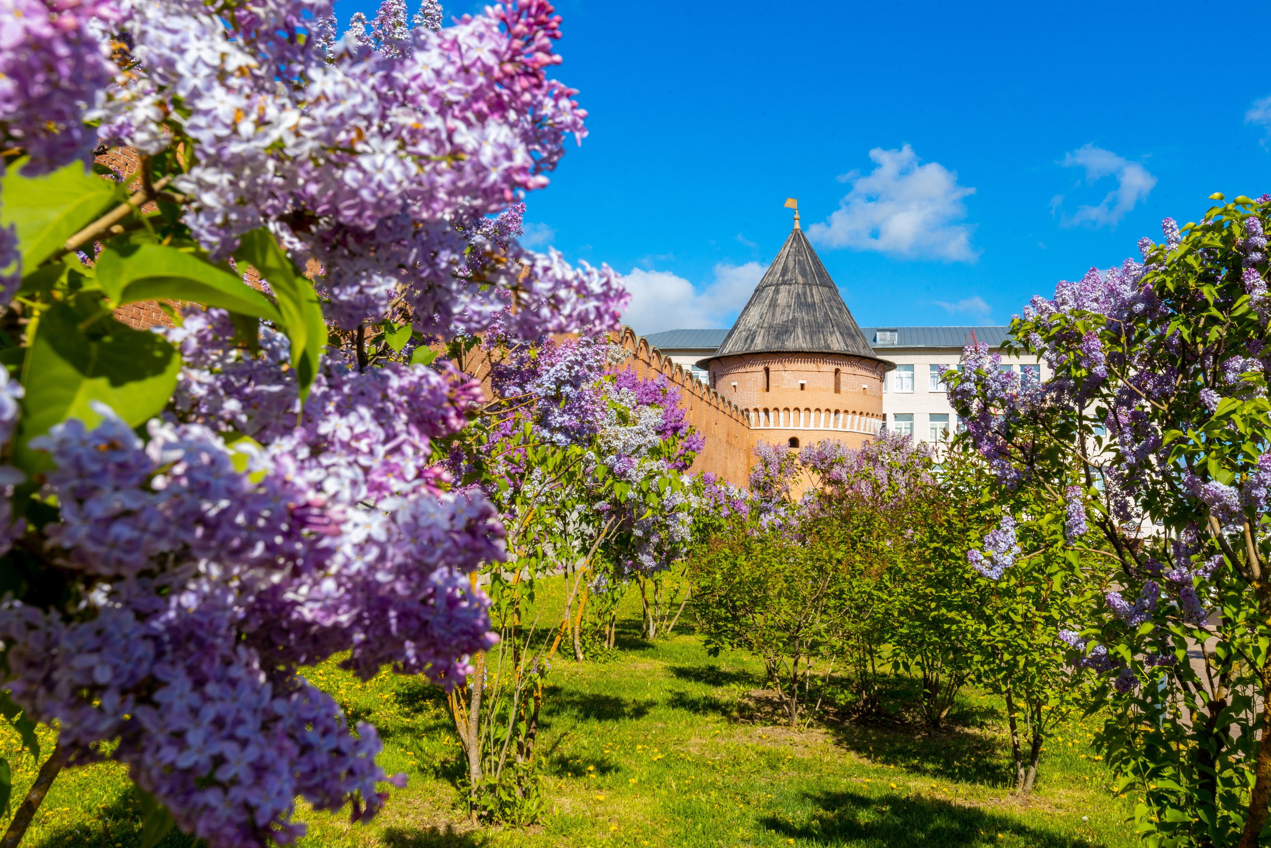 Весеннее цветение в Туле. Фотограф в Туле Крупский АнДРей. Фотостудия «КАДР71» в Туле
