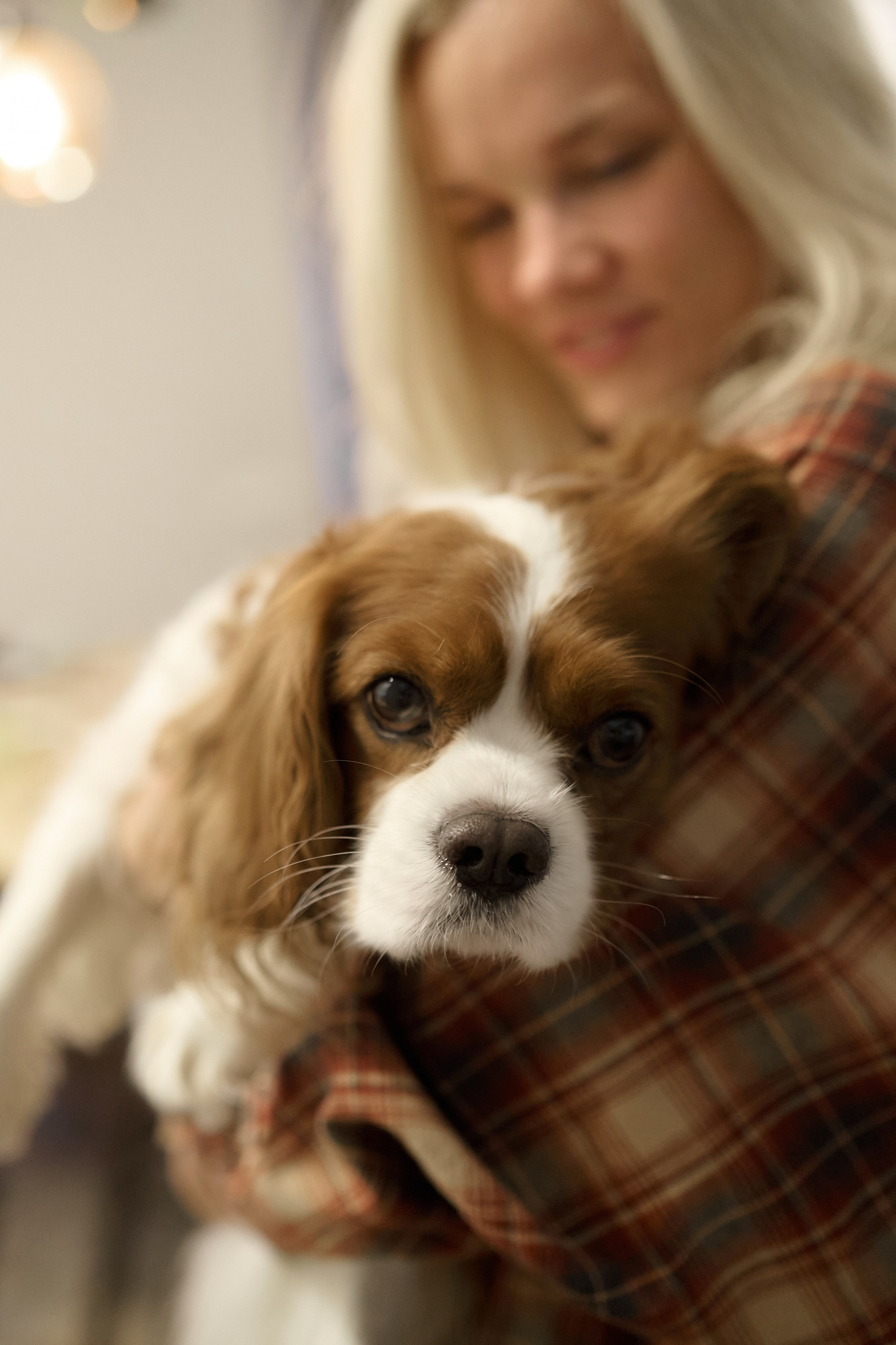 Серёжа, Вика, Макар и Кэш. Семейный и свадебный lifestyle-фотограф в Москве Мария Петрова