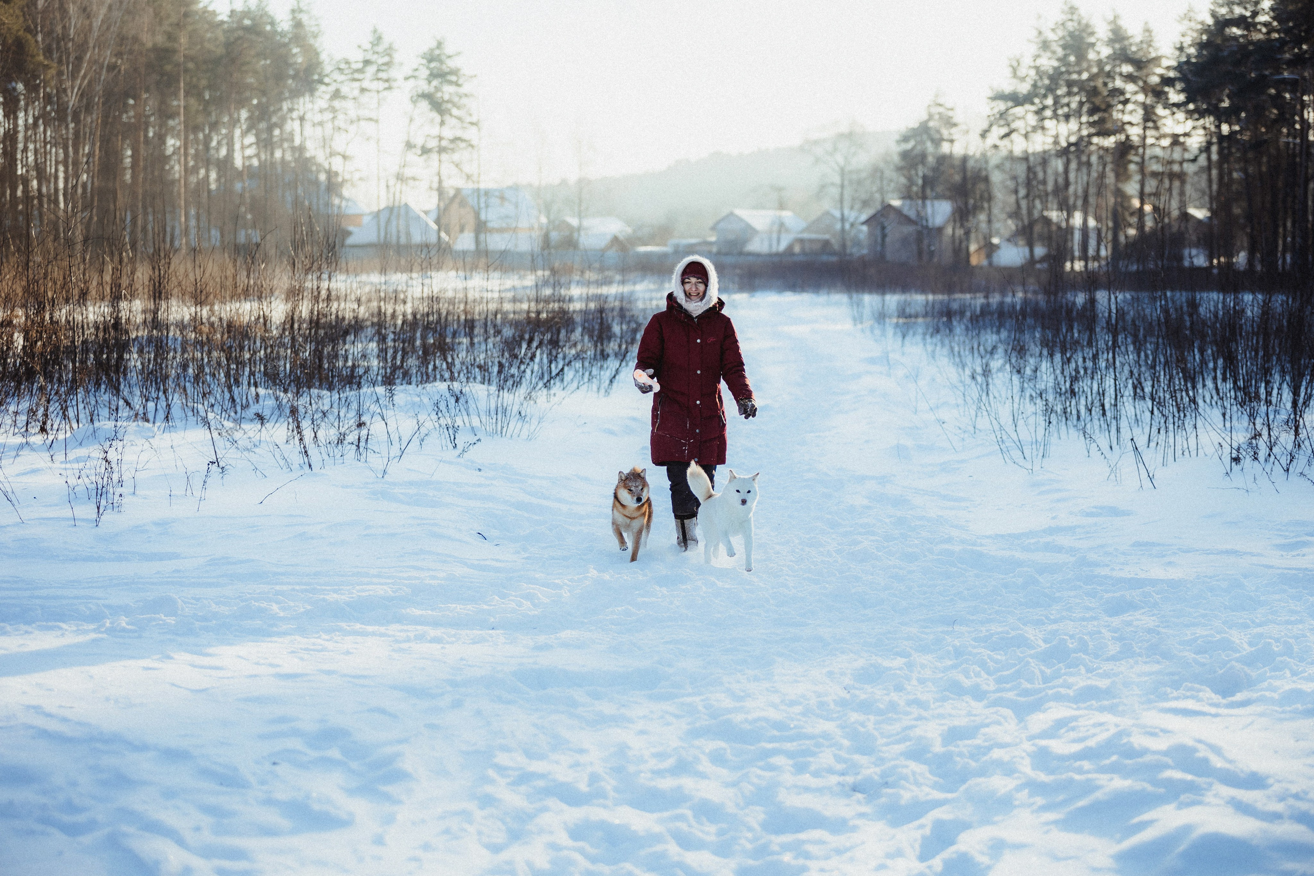 Шед, Цири и Ира