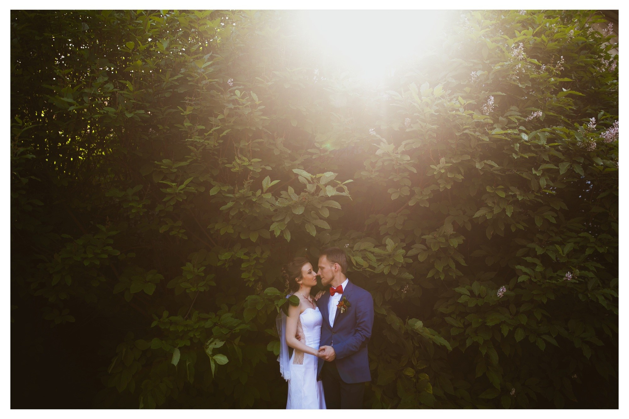 Свадьба Вовы и Кати. Фотограф Георгий Сапожников