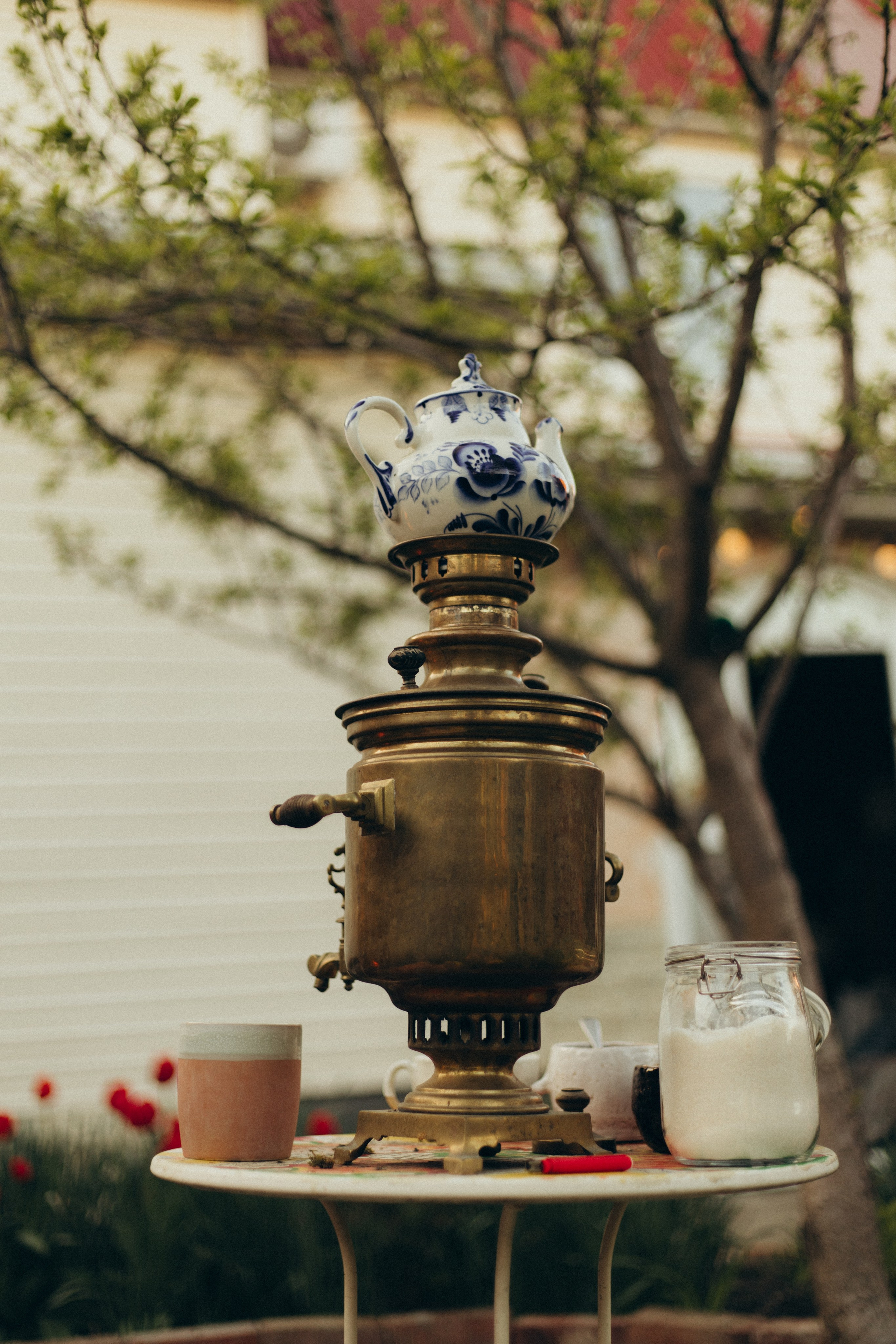 Домашняя история. Meryfotoidea