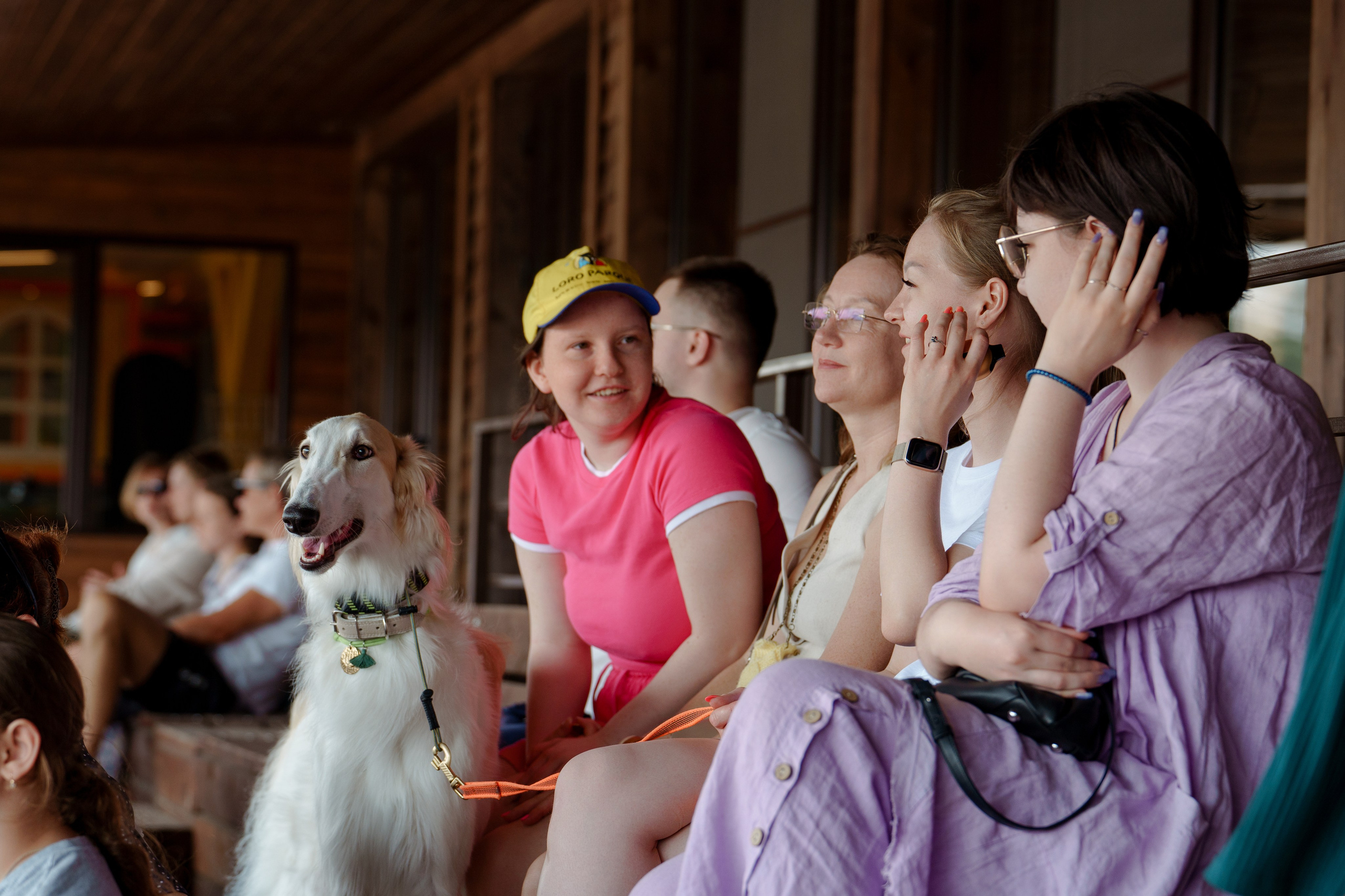 VIP DERBY. Репортажный фотограф Москва Сергей Дружинин
