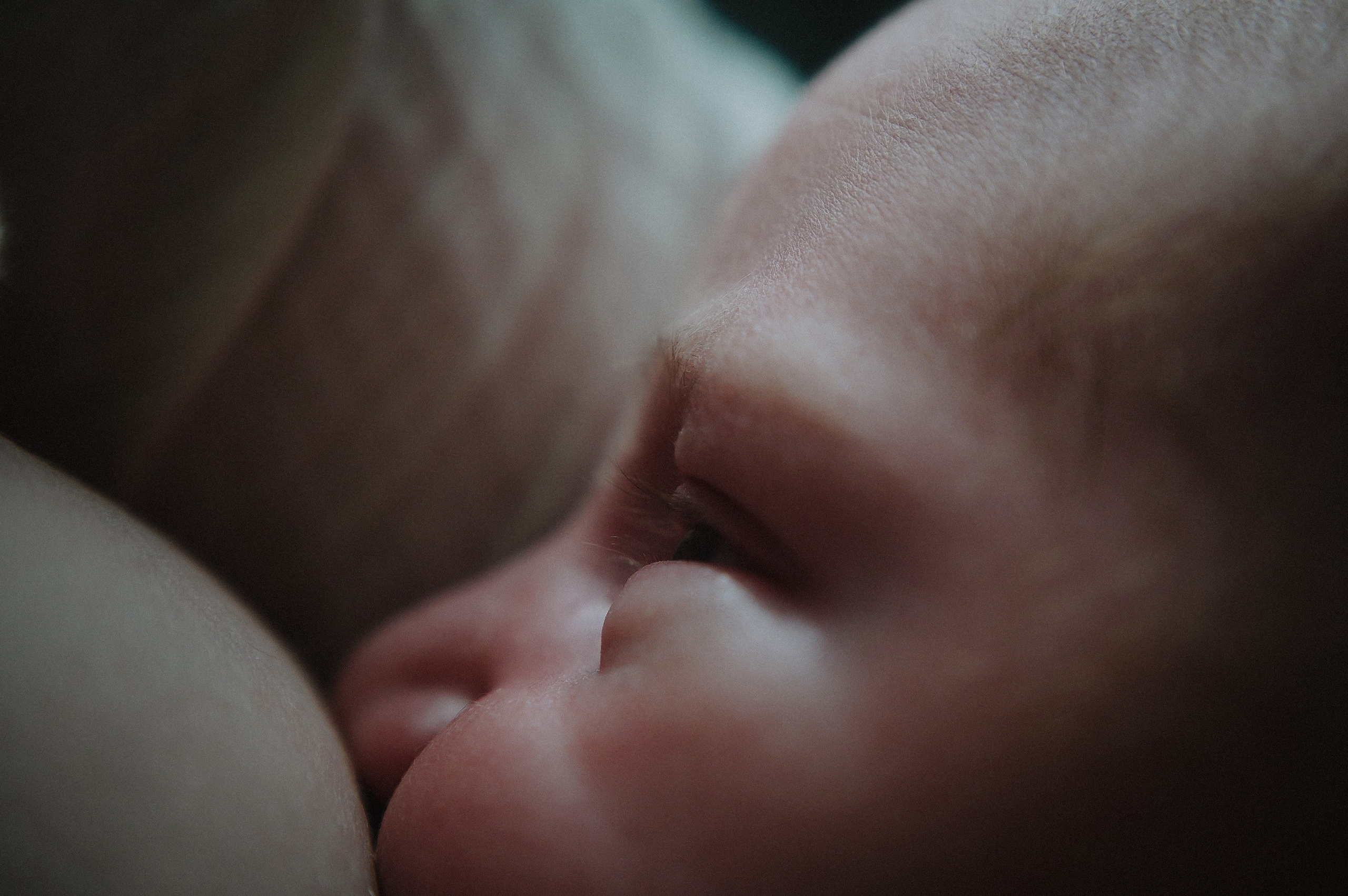 Давид. 04.02.2026. Фотограф СЕМЬИ и ДЕТСТВА в Краснодаре и Краснодарском крае Екатерина Москат