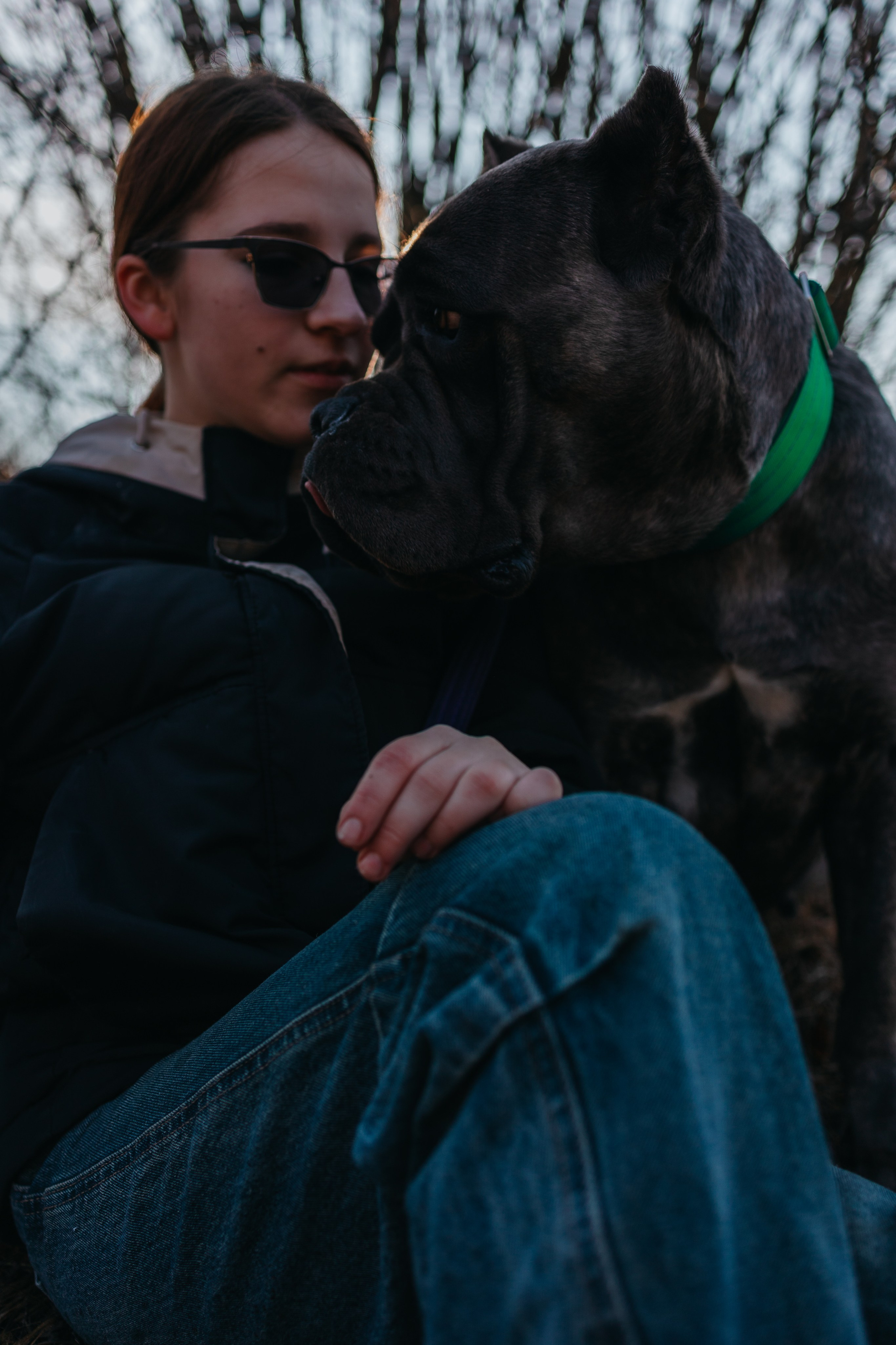 Лера, Ума и Винни. Фотограф — анималист Светлана Кысса|фотограф собак в Краснодаре и Нижнем Новгороде