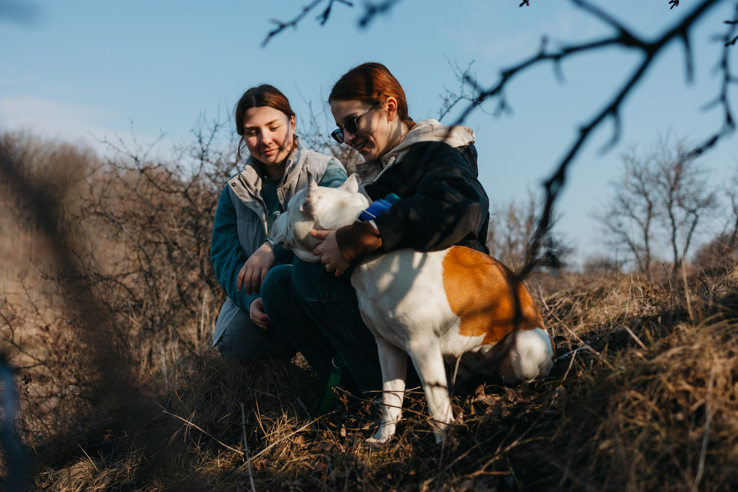 Лера, Ума и Винни. Фотограф — анималист Светлана Кысса|фотограф собак в Краснодаре и Нижнем Новгороде