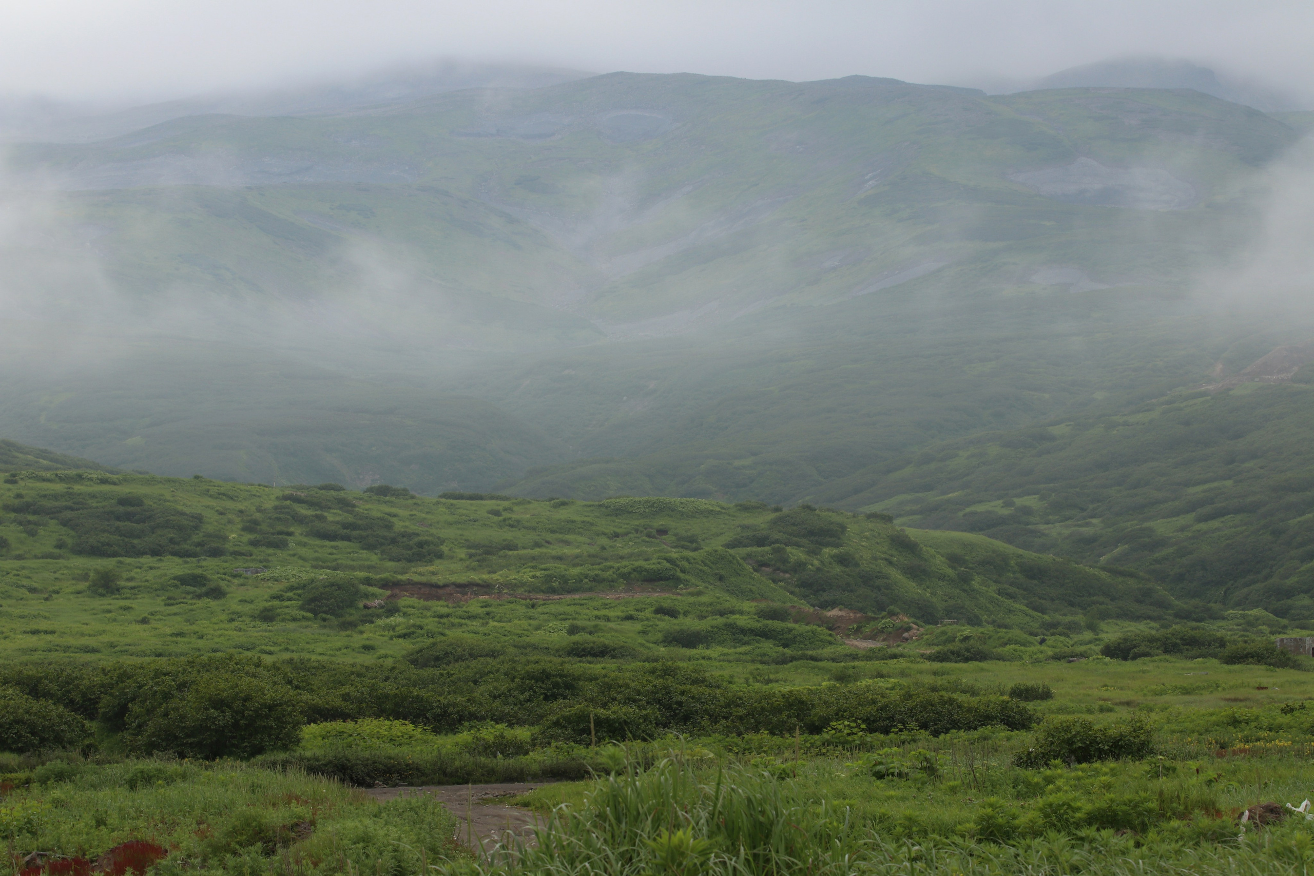 Камчатка и о. Парамушир. Июль 2024. Путешественник-фотограф из Санкт-Петербурга Татьяна Свистулина