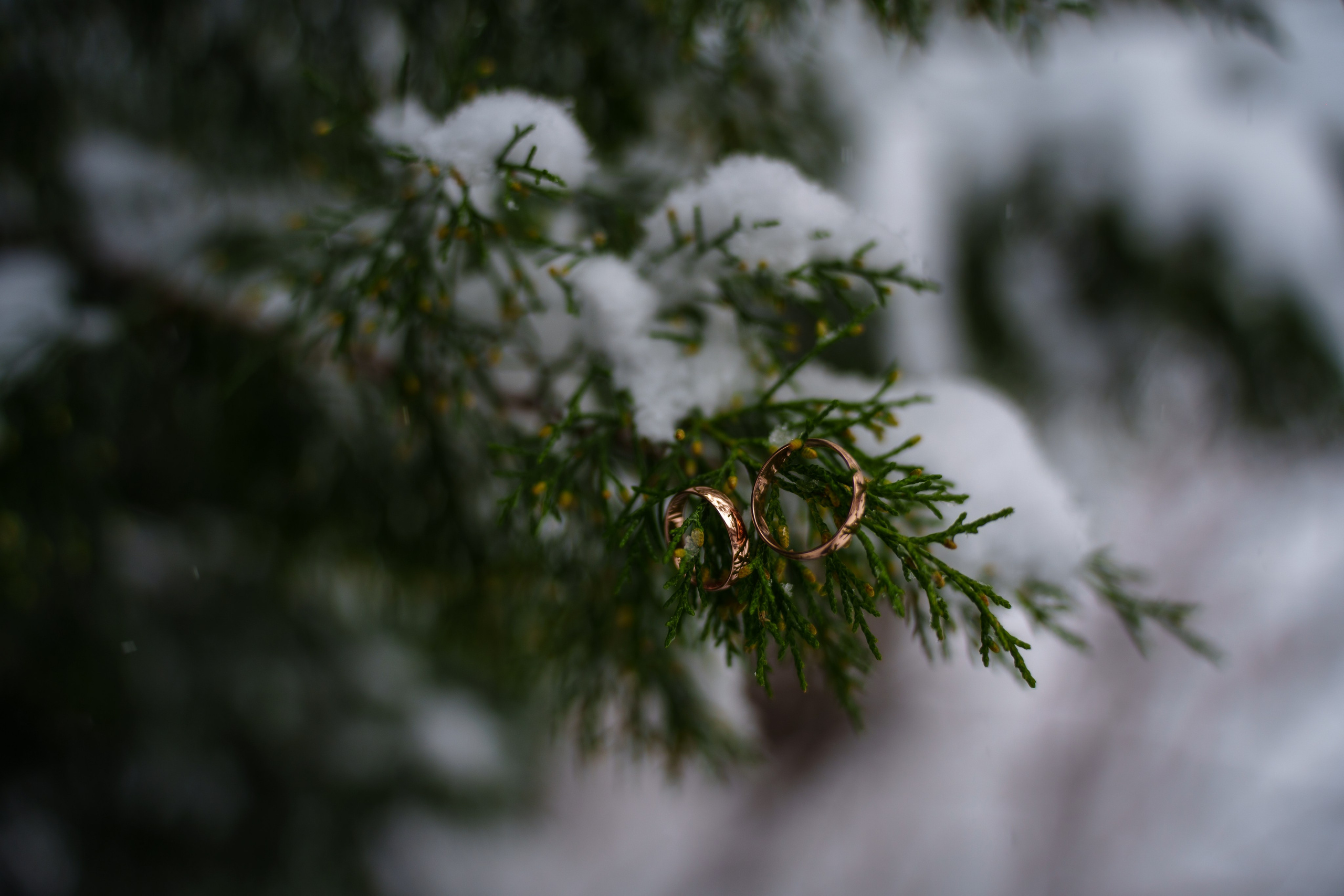 18.02.2023. Фотограф Андрей Чеботок (Белгород, Курск, Воронеж, Старый Оскол)