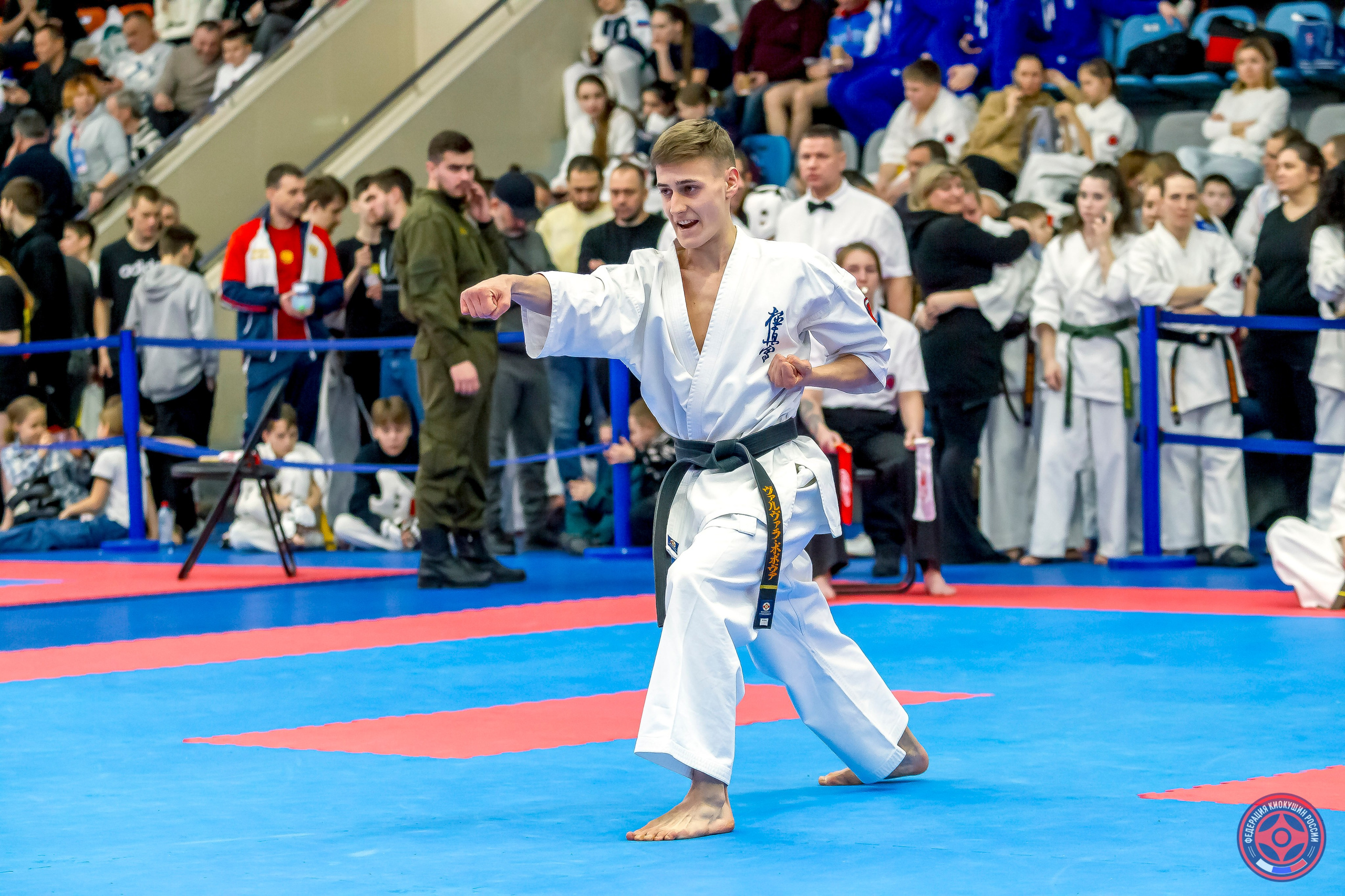 Международный турнир по киокушин «Открытый кубок Seiken». Репортажная съемка в Москве и области. Анималистика