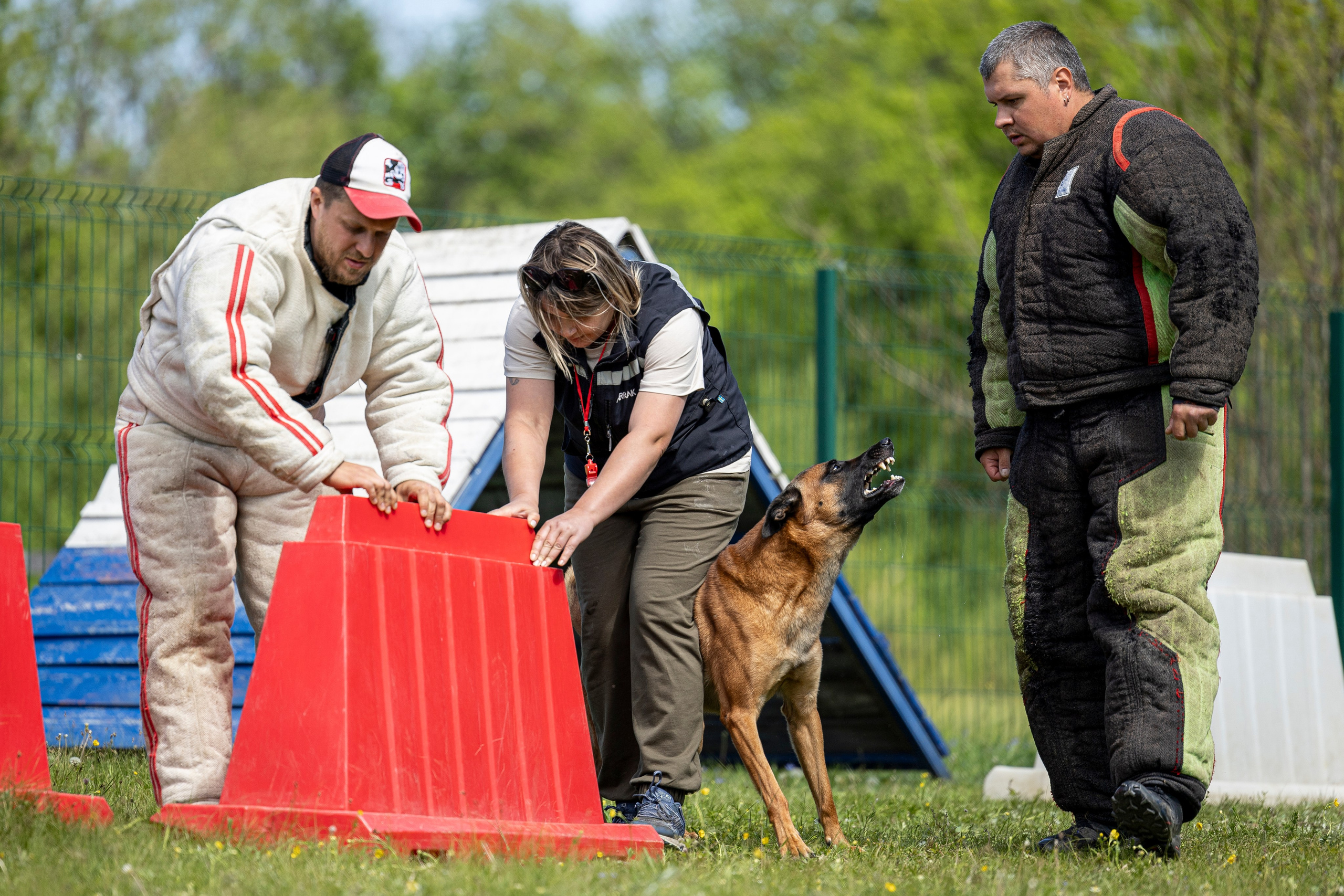 Испытания по мондьорингу в Нижнем Новгороде. Фотограф-анималист Анна Маринич