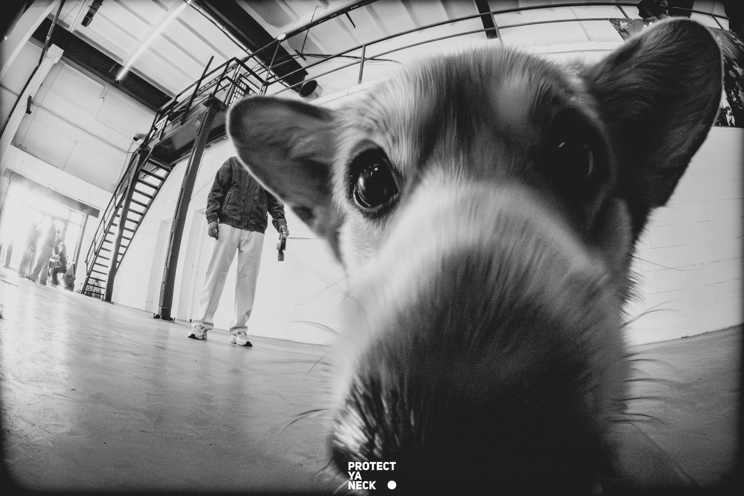 PROTECT YA NECK 22/03 (@youlovebu). Соня бу тебя сфоткала