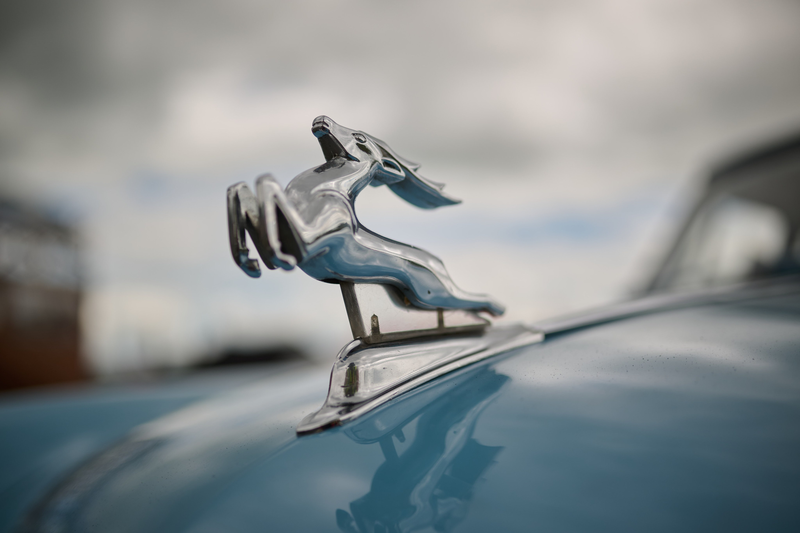 3 этап кубка Ракеты 2025 год. Сергей Богомолов. Свадебный и семейный фотограф