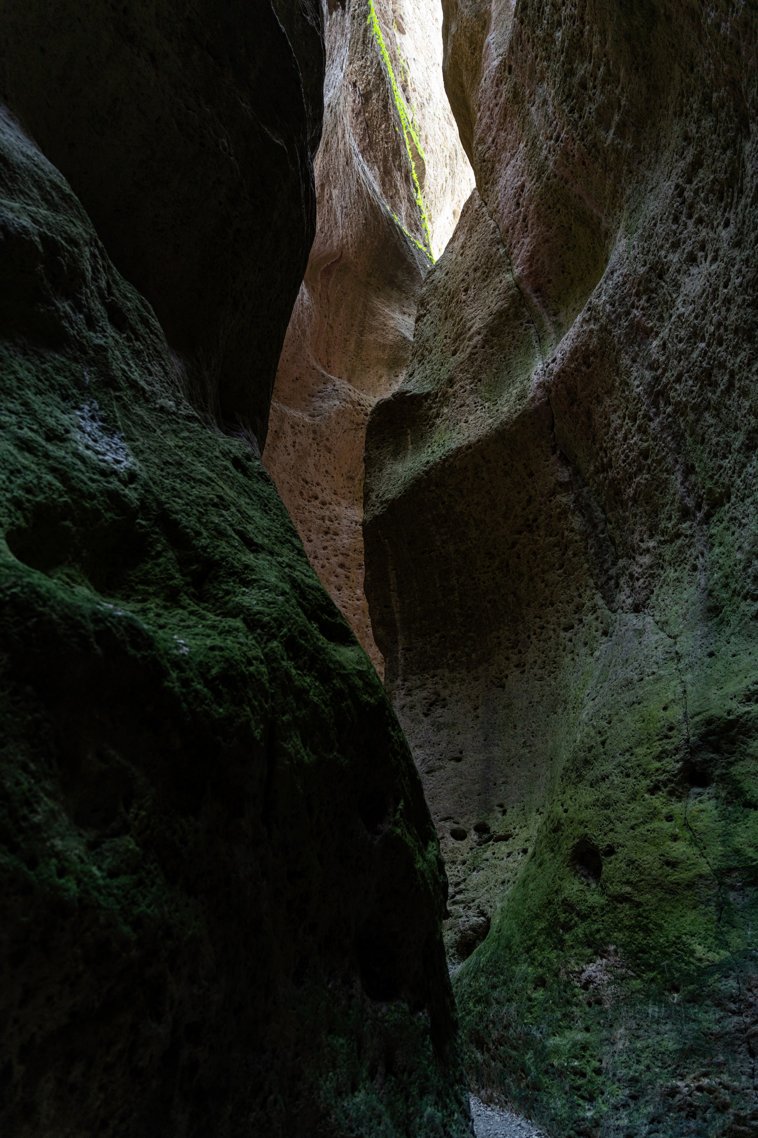 Дагестан. Фотограф в Москве. Шахабудин