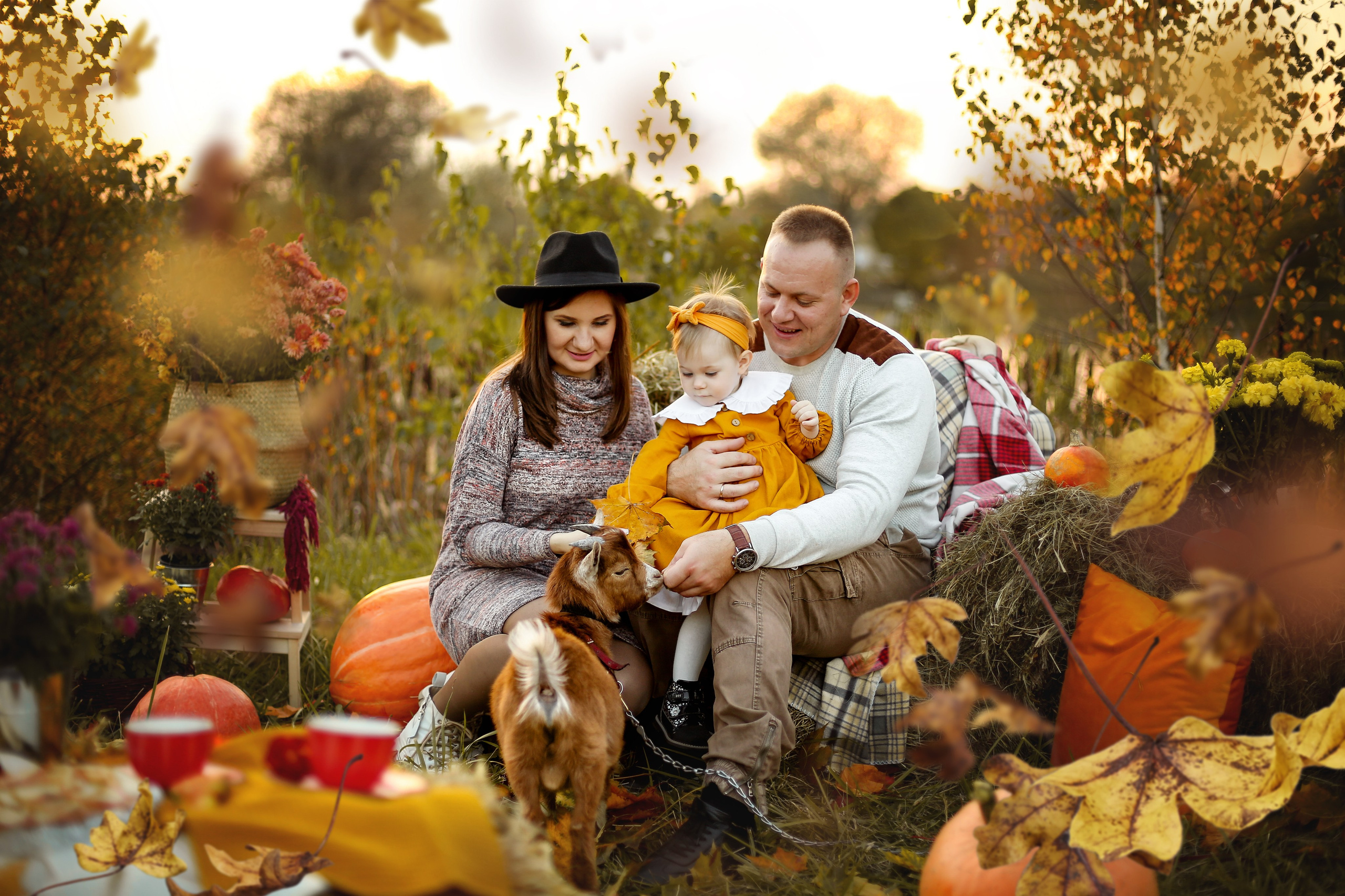 Осенний пикник с кроликом. Фотограф Ульянкина Мария