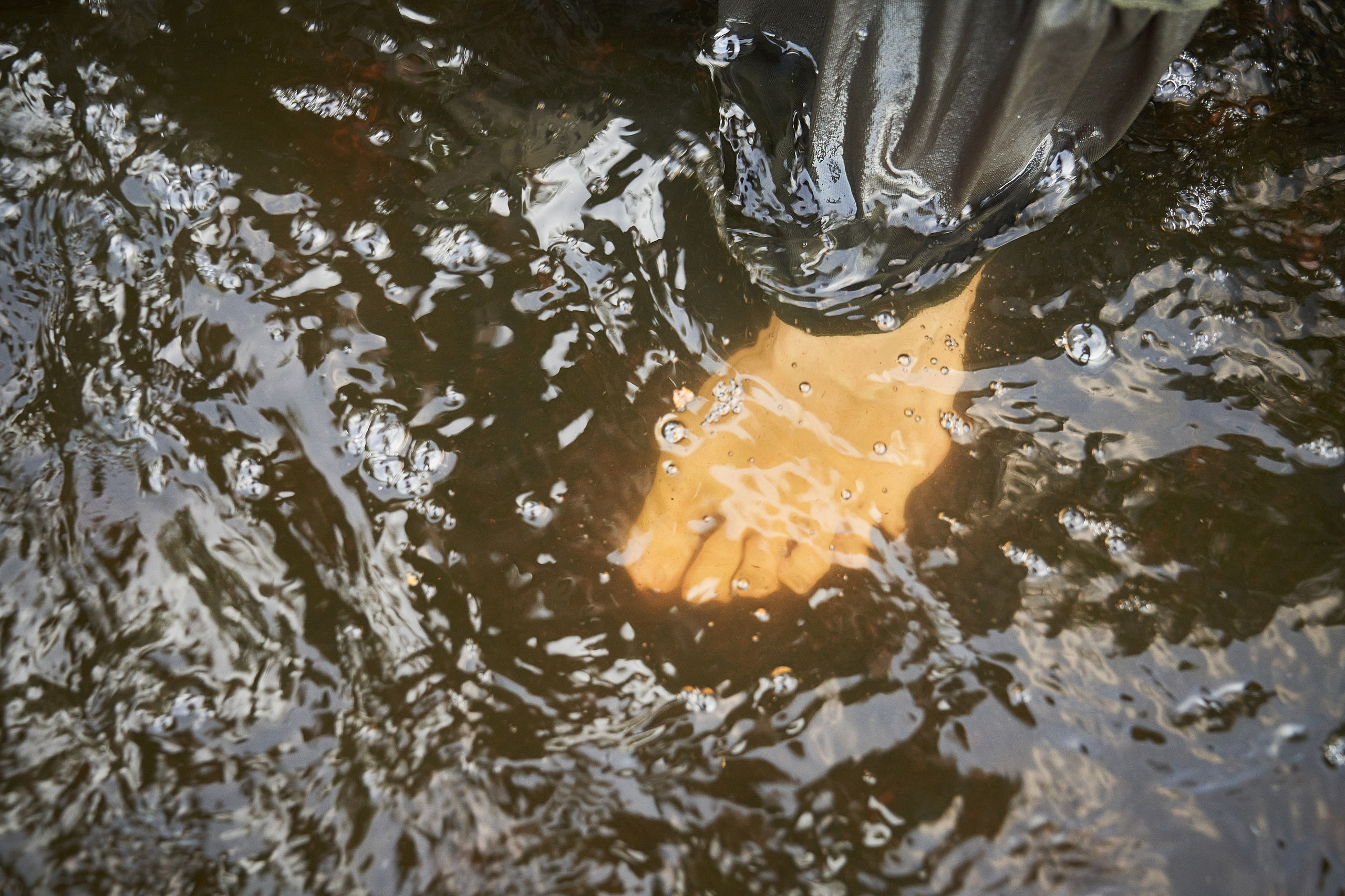 Маргарита. Дзешульская, фотограф