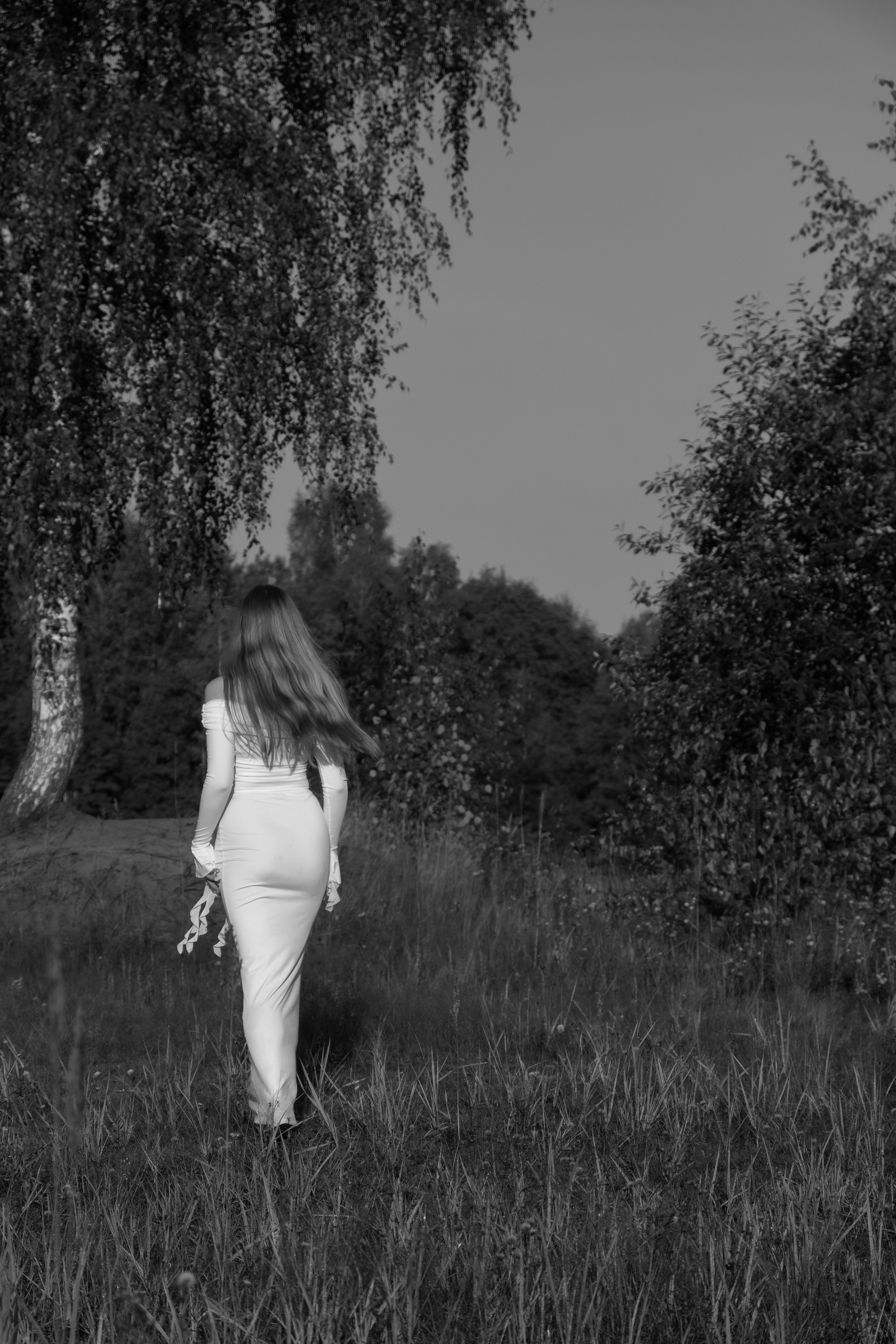 Природа. Главная