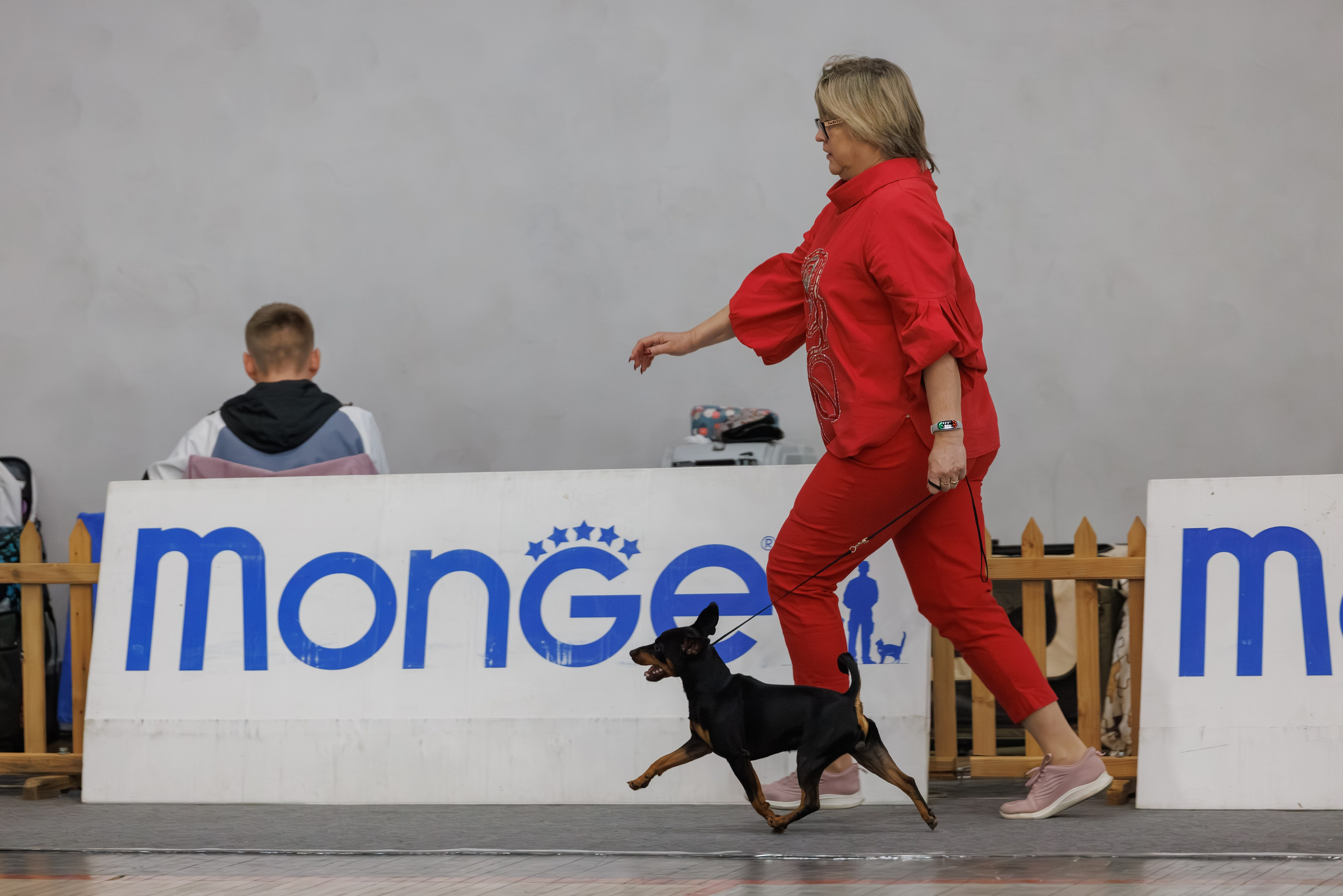 Ереван 2х CACIB 29-30.04.2025. Фотограф-анималист Юлия Германика