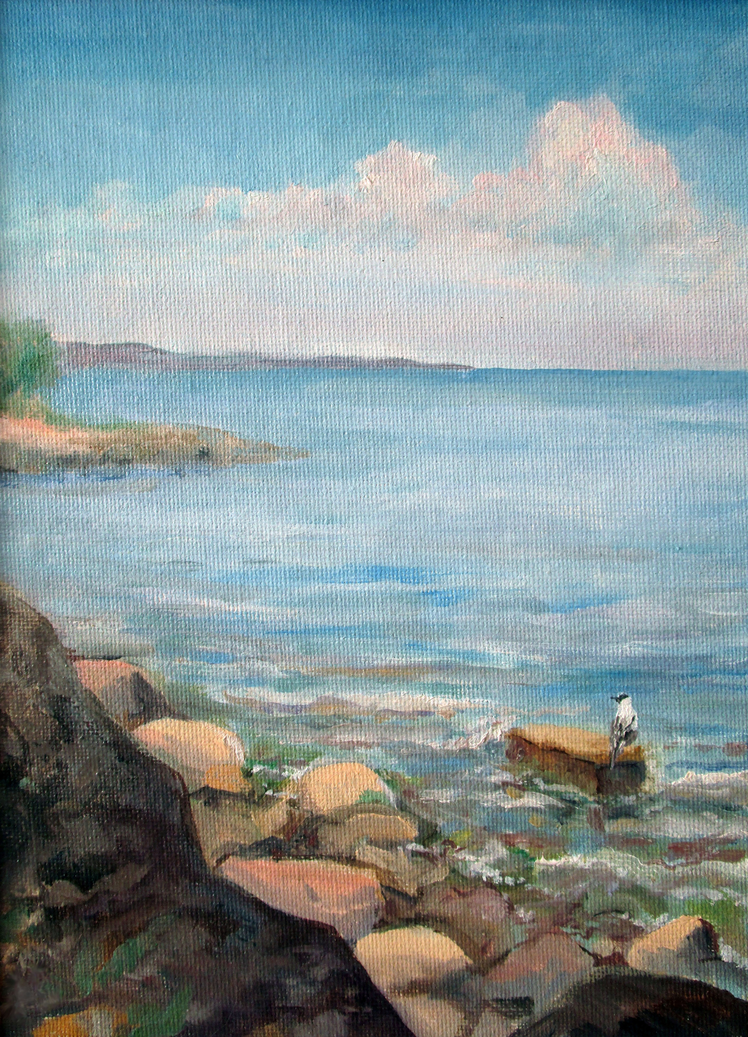 "Чайка на Балтике", холст / масло, 2012