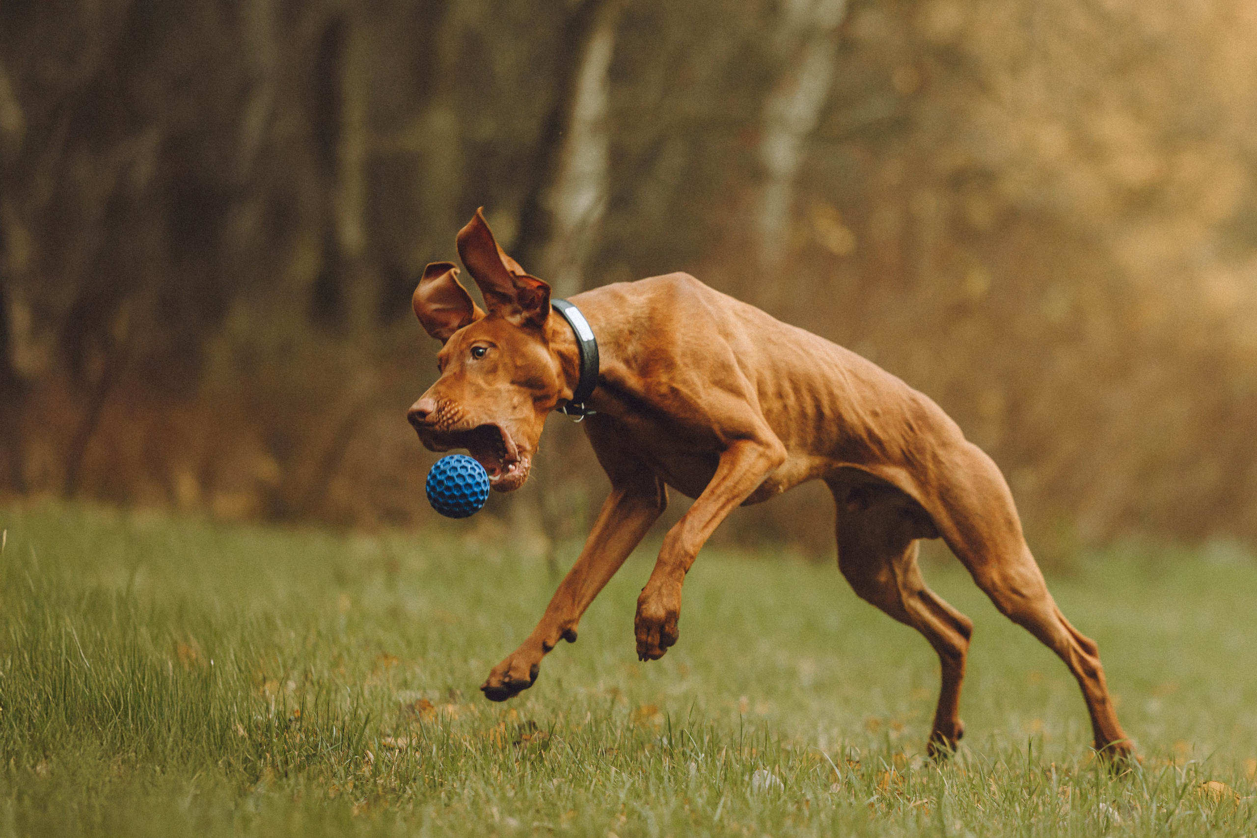 Дориан и его семья