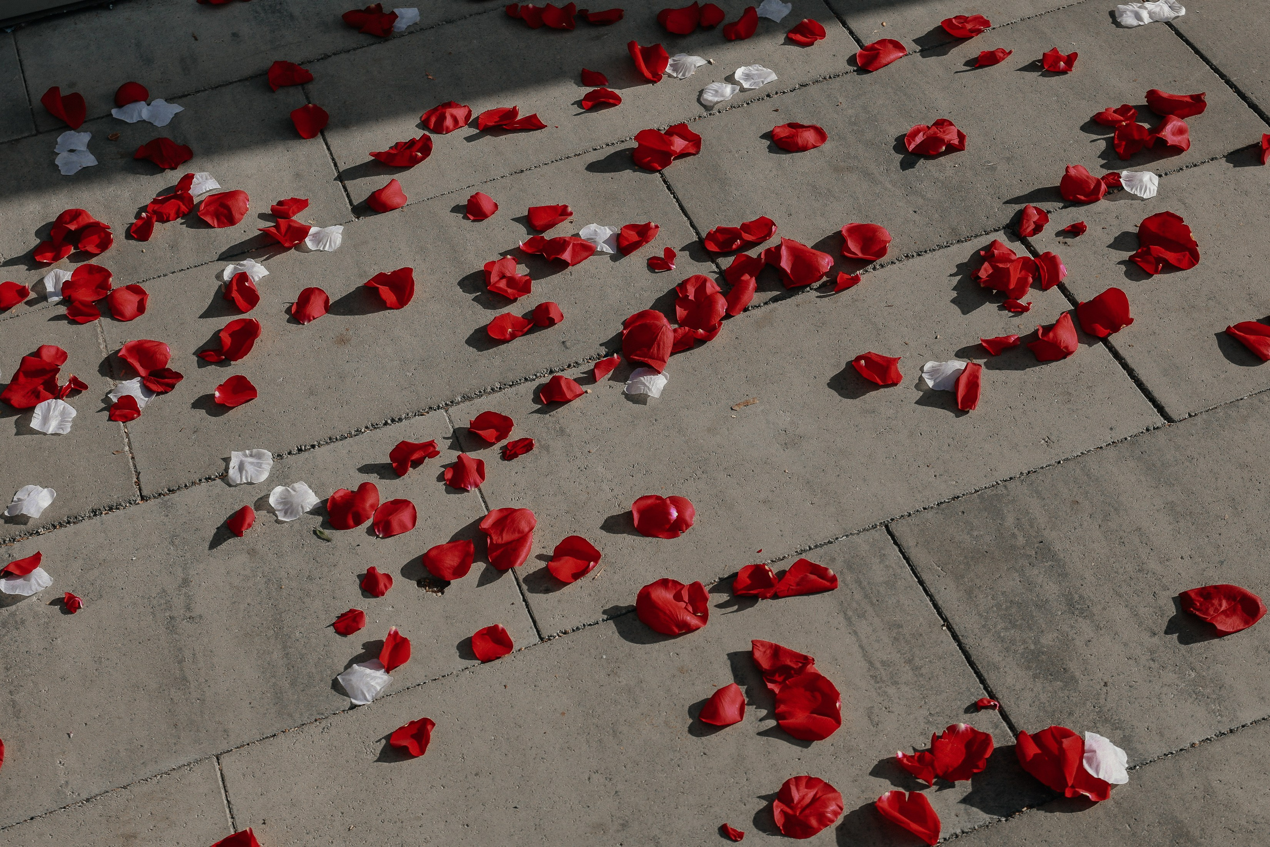 Евгений и Евгения Регистрация и прогулка. Фотограф Юлия Мальцева