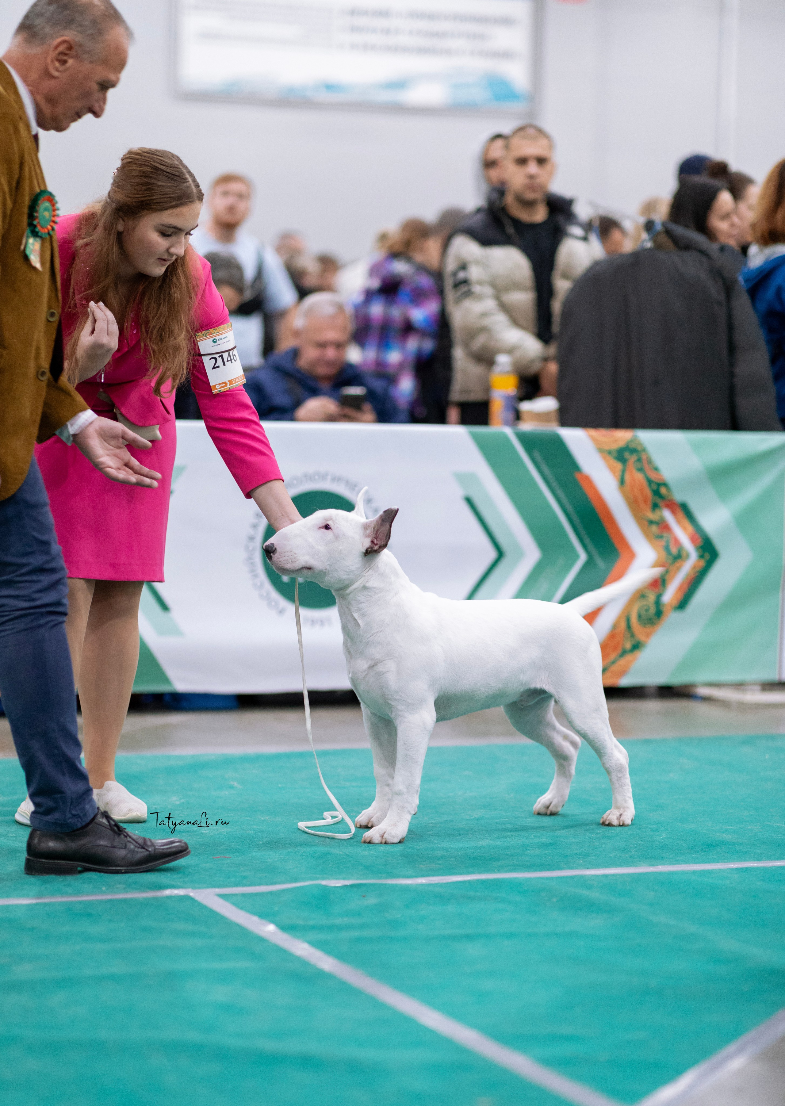 Евразия. Фотограф — анималист Татьяна Ли