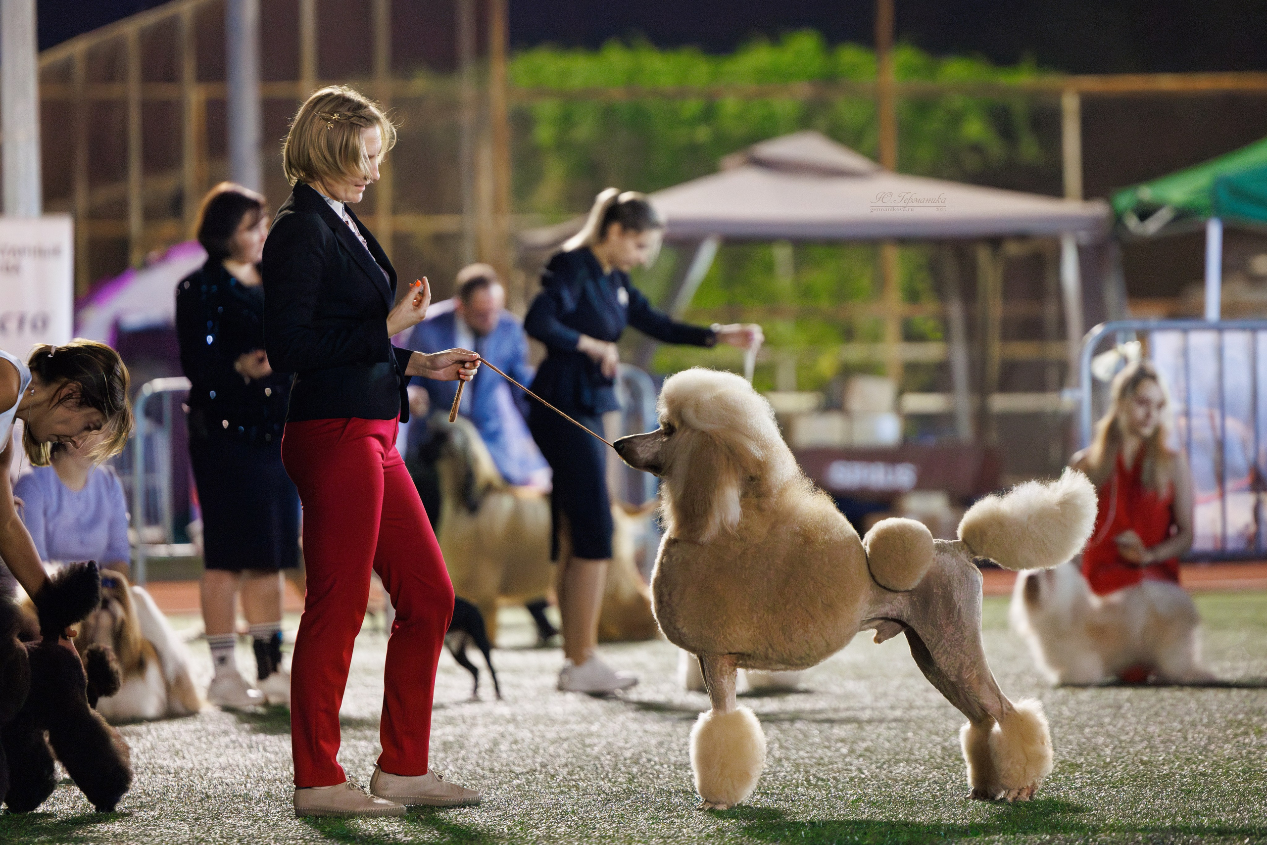 Волгоград 2-4.08.2024. Фотограф-анималист Юлия Германика