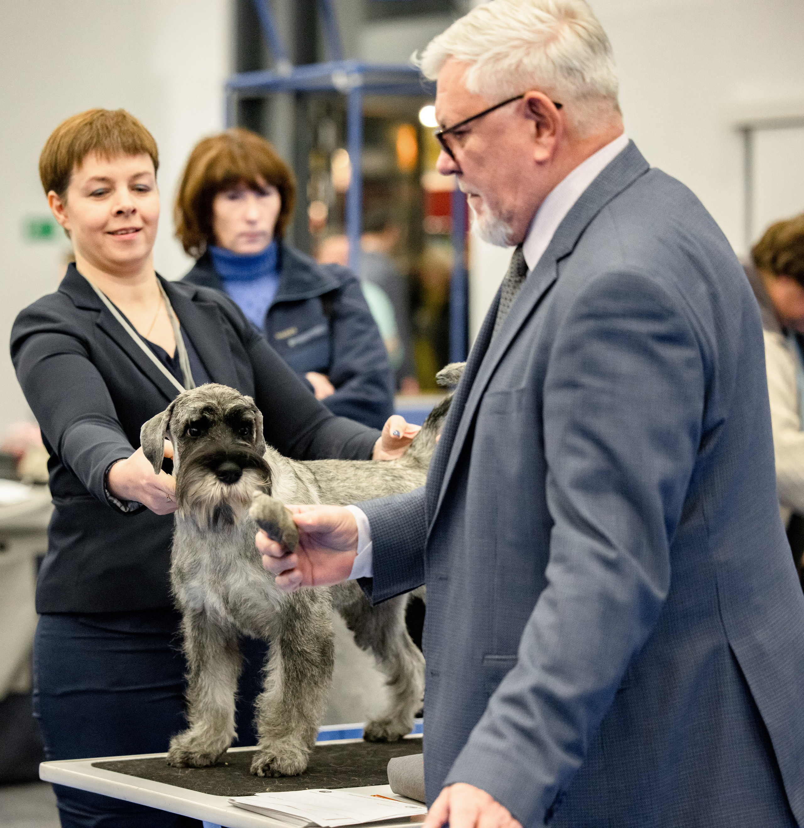 Нижний Новгород 21-22.10.2023. Фотограф-анималист Юлия Германика